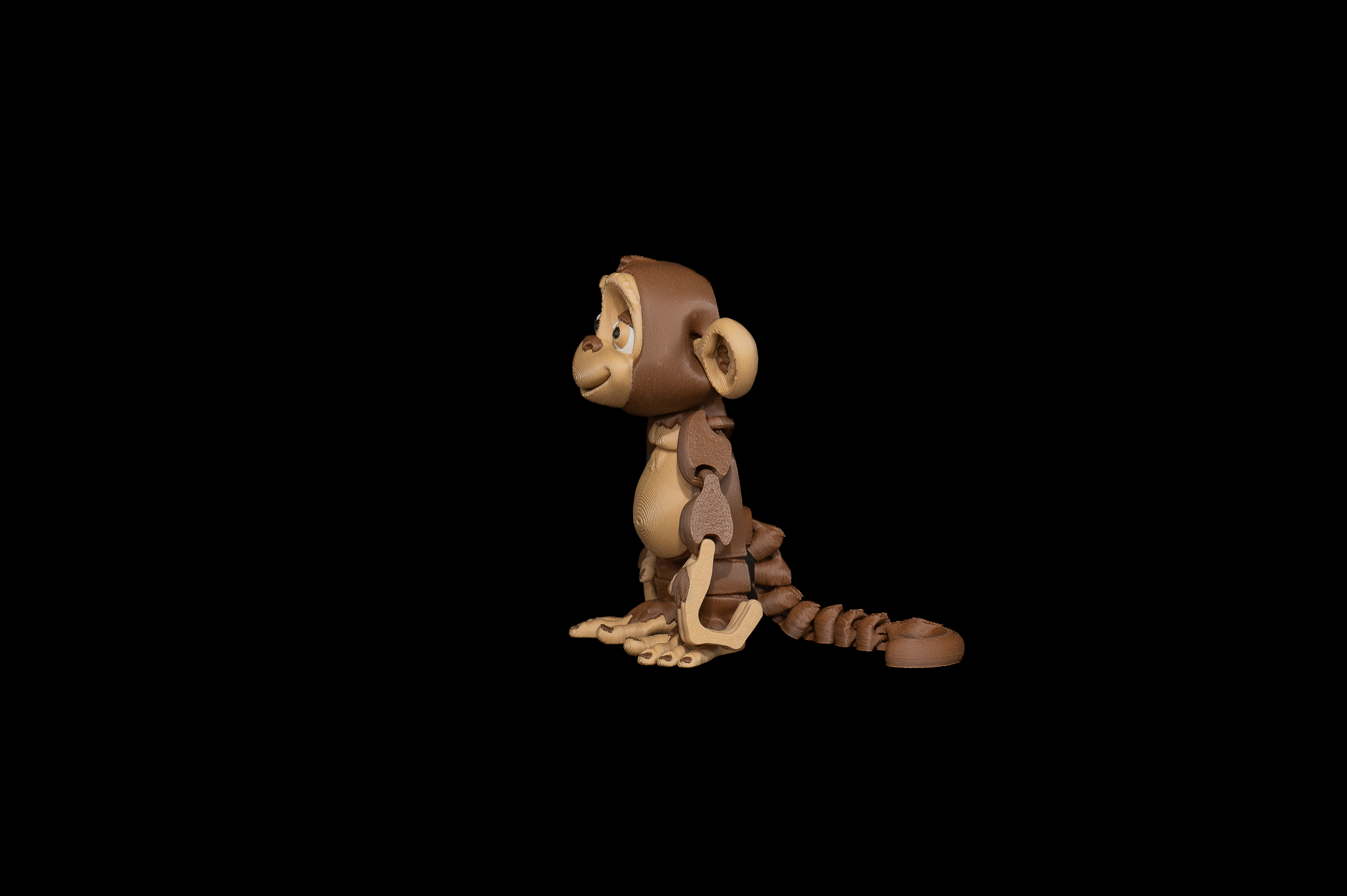 Monkey  (2 of 3).png