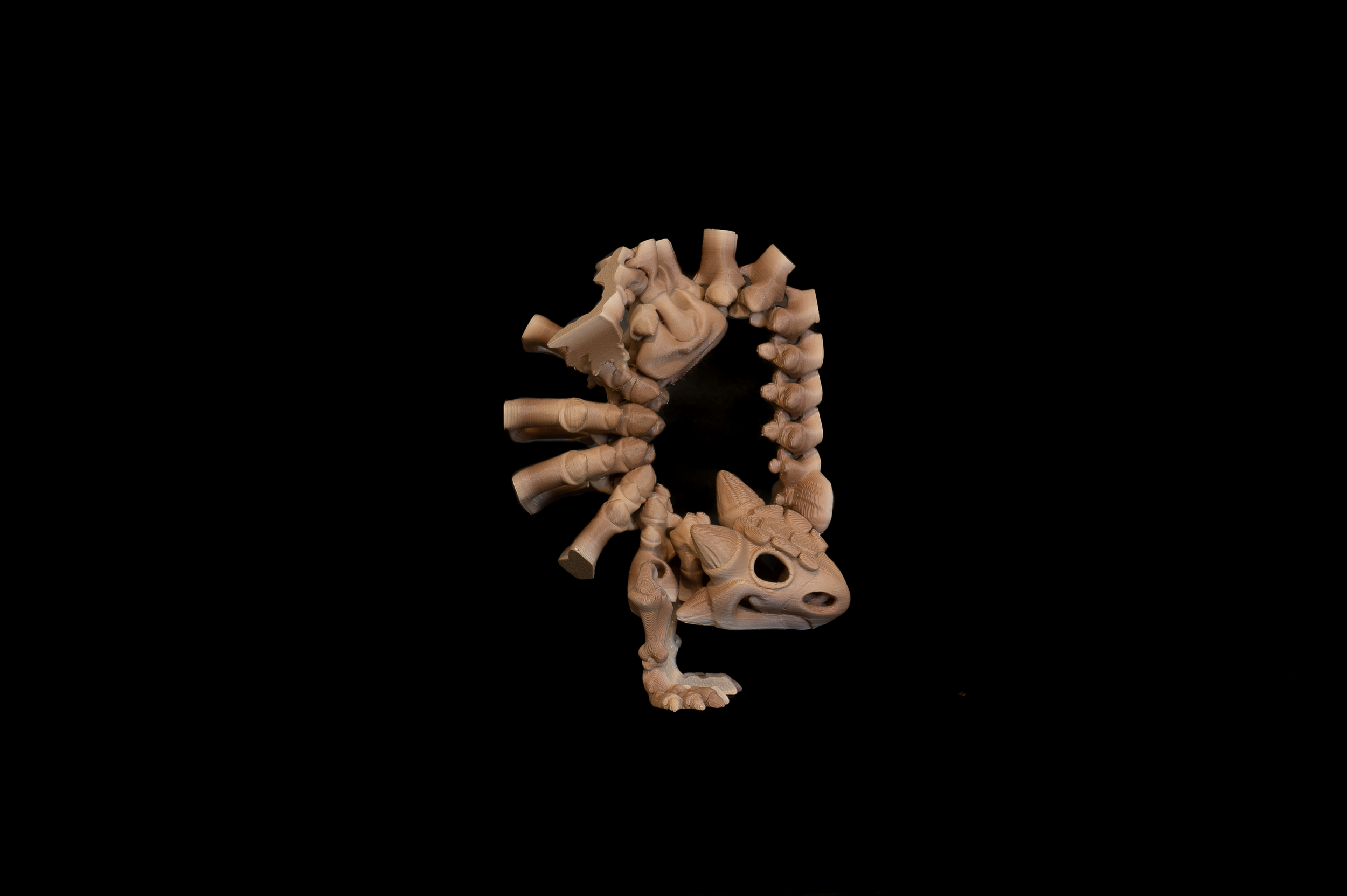 Ankylosaurus