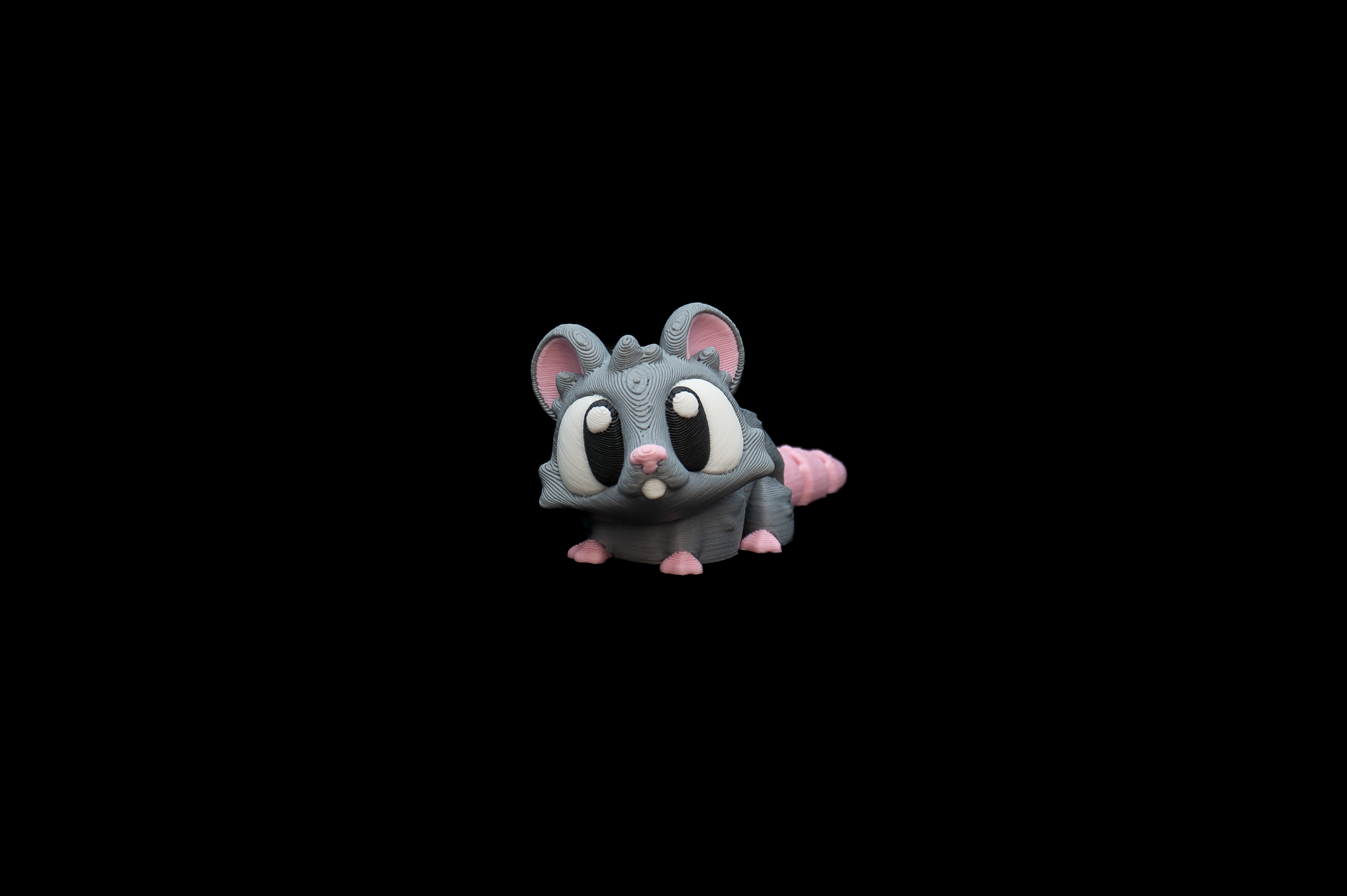 Rat