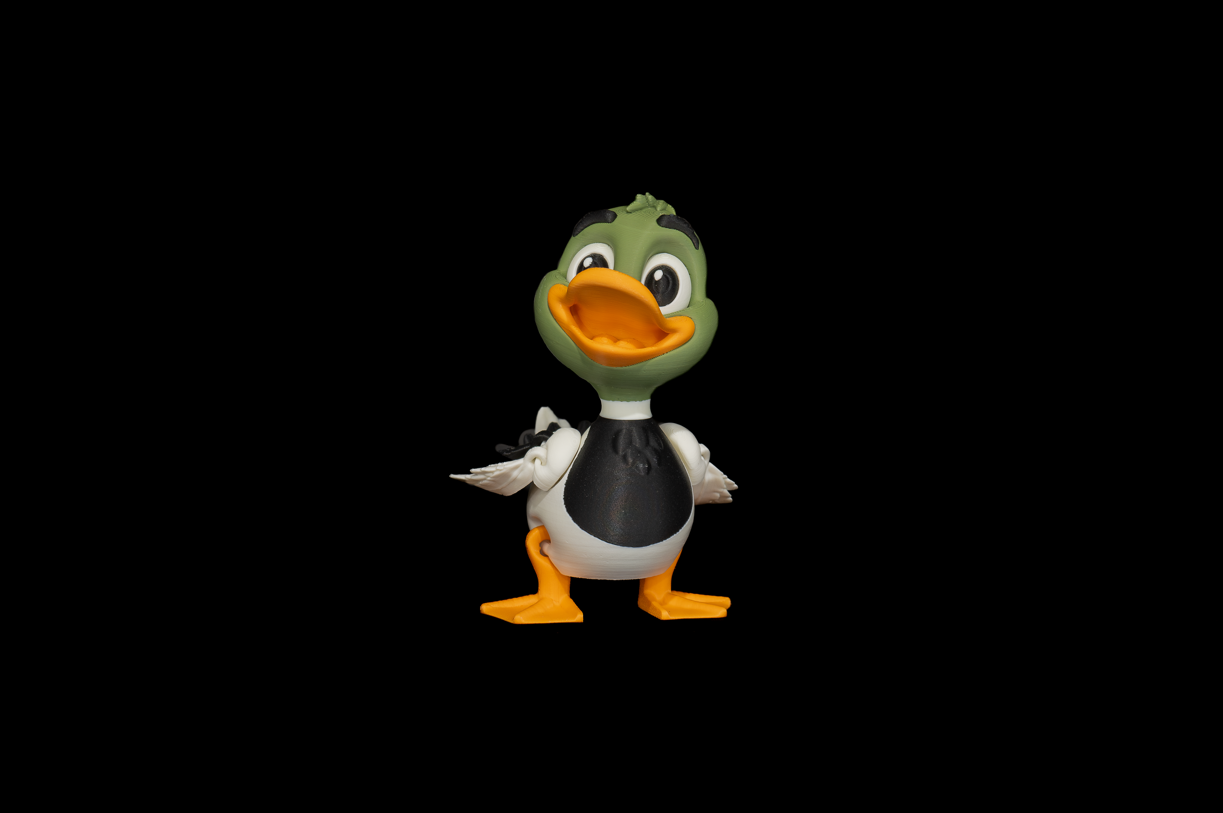 Duck