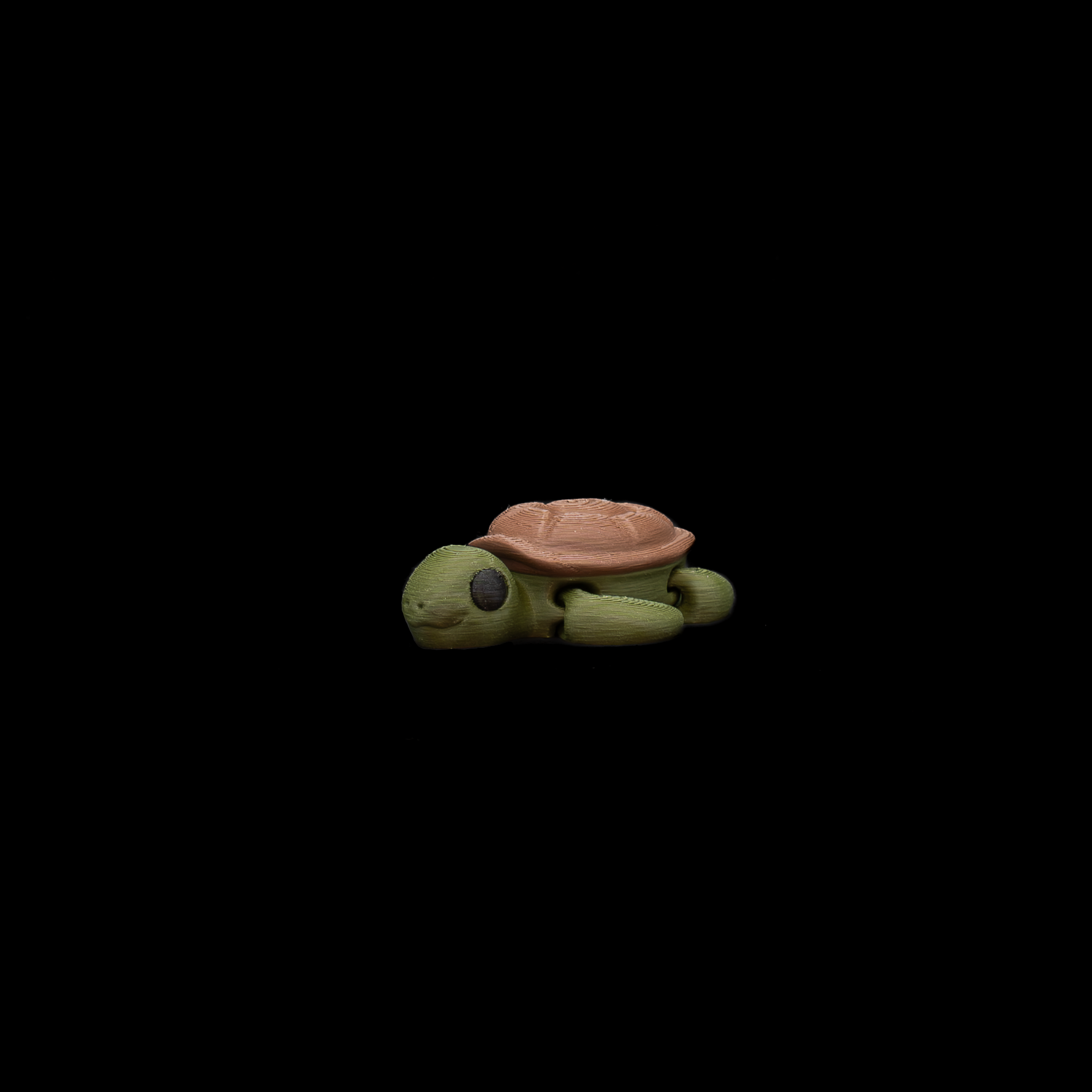 Baby Turtle (Mini)