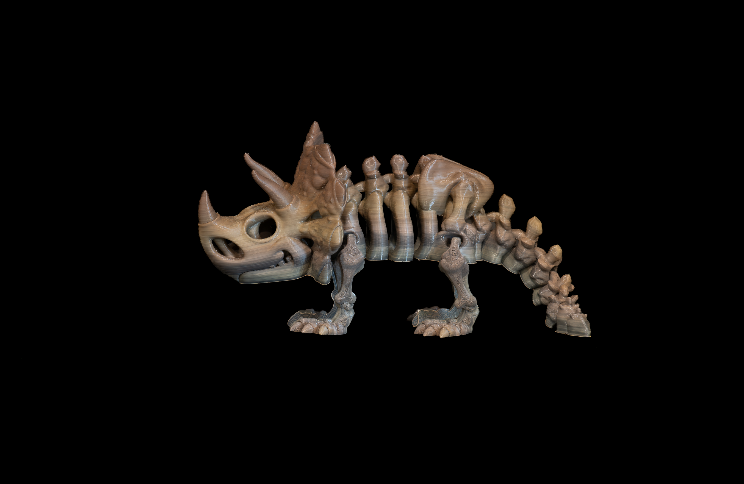 Skeleton Triceratops (2 of 3).png