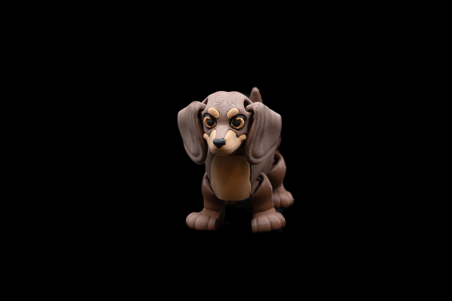 Dachshund Dog (2 of 2).png