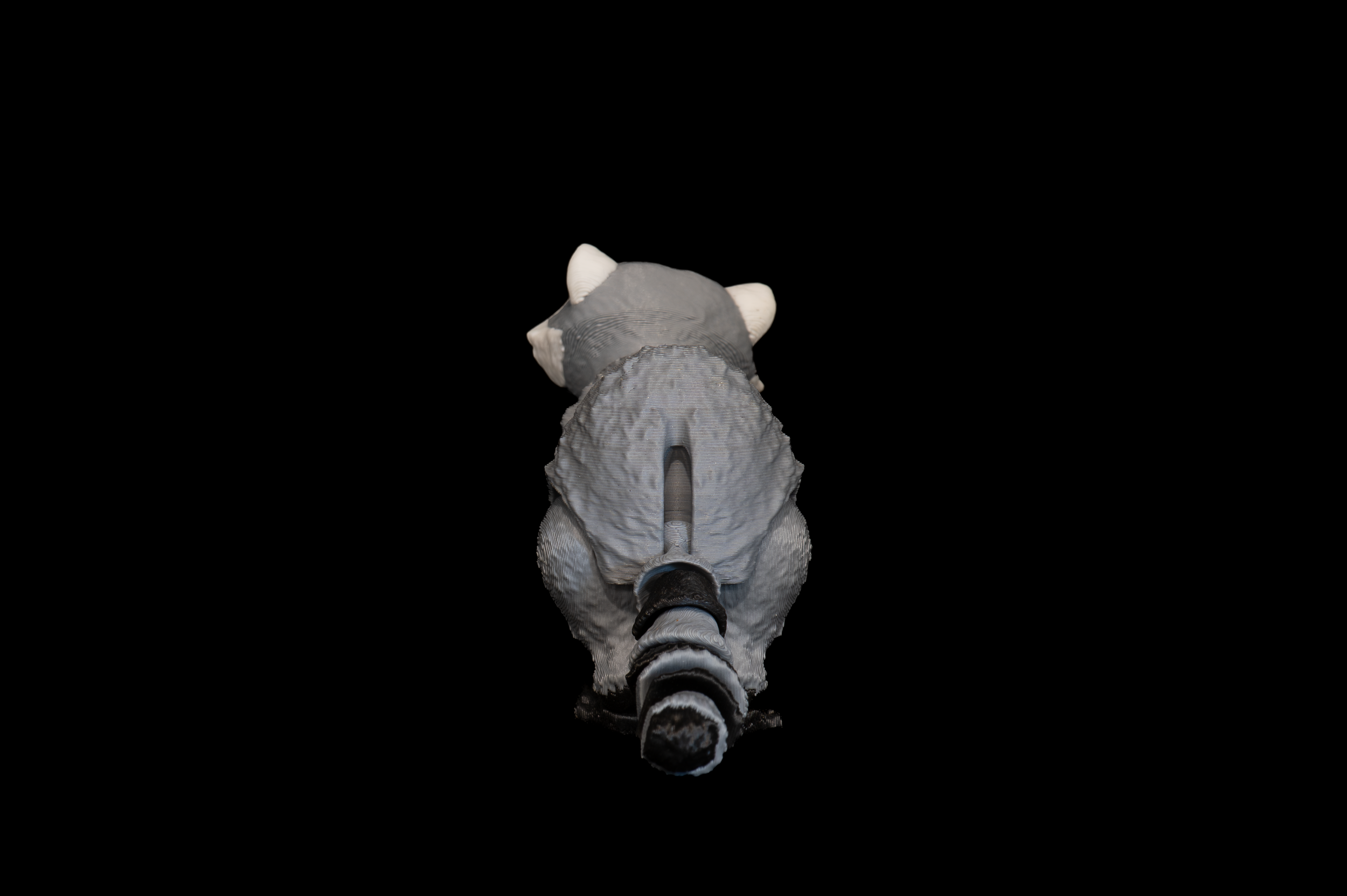 Raccoon (2 of 3).png