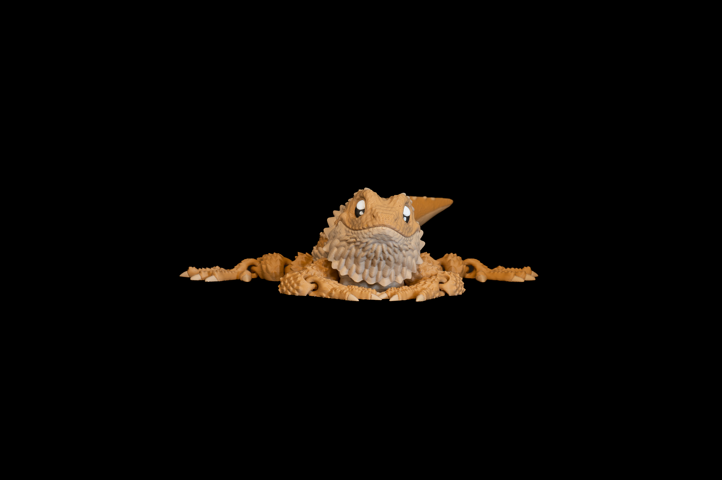 Bearded Dragon (1 of 4).png
