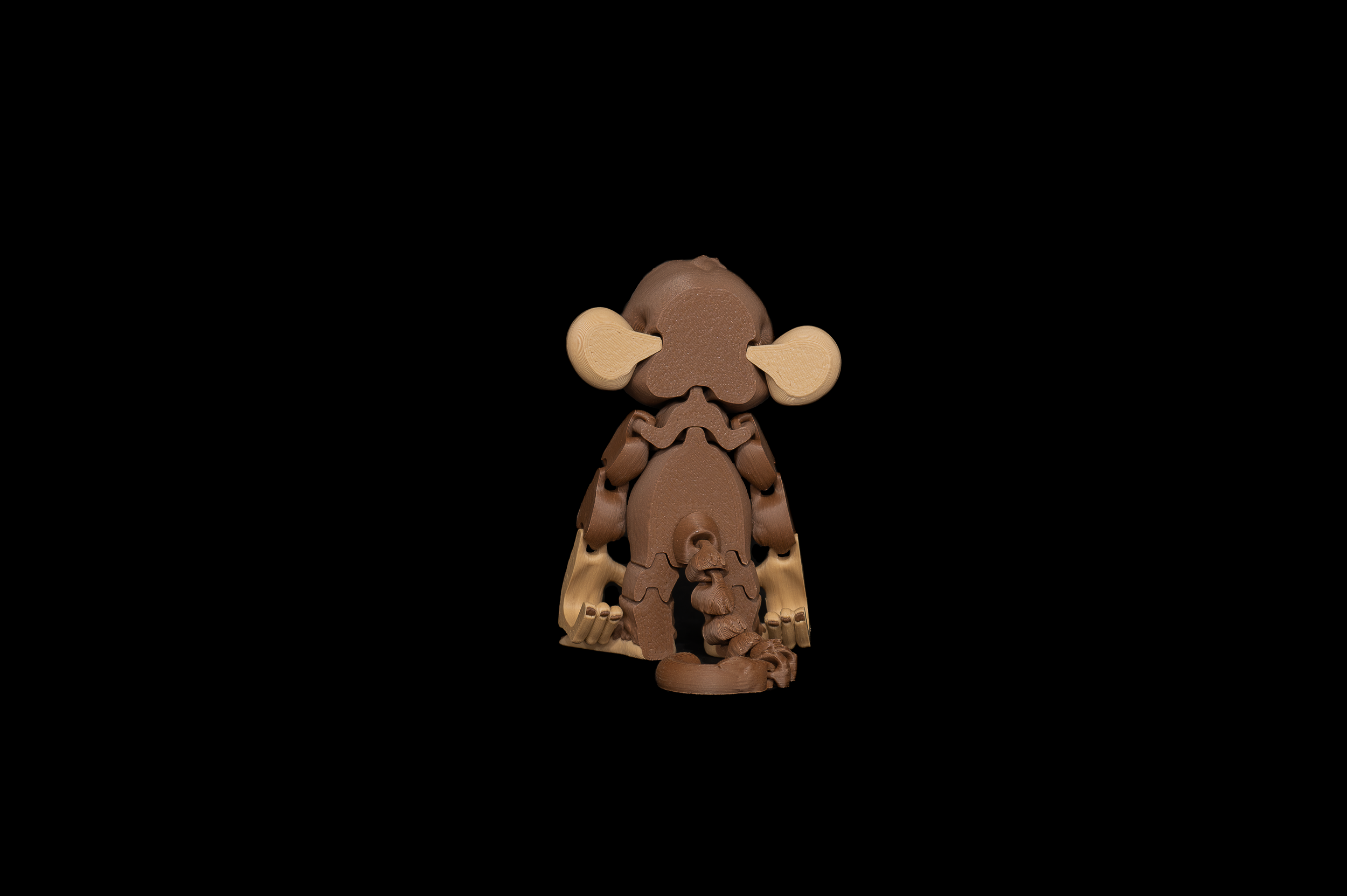Monkey  (3 of 3).png