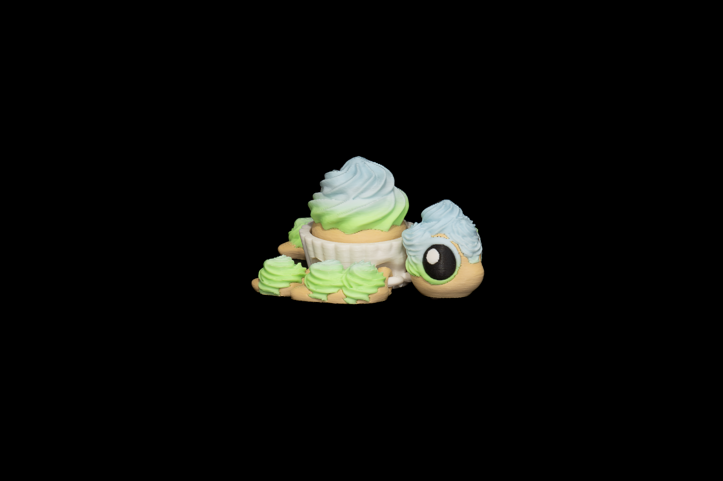 Birthday Cupcake Turtle (5 of 5).png