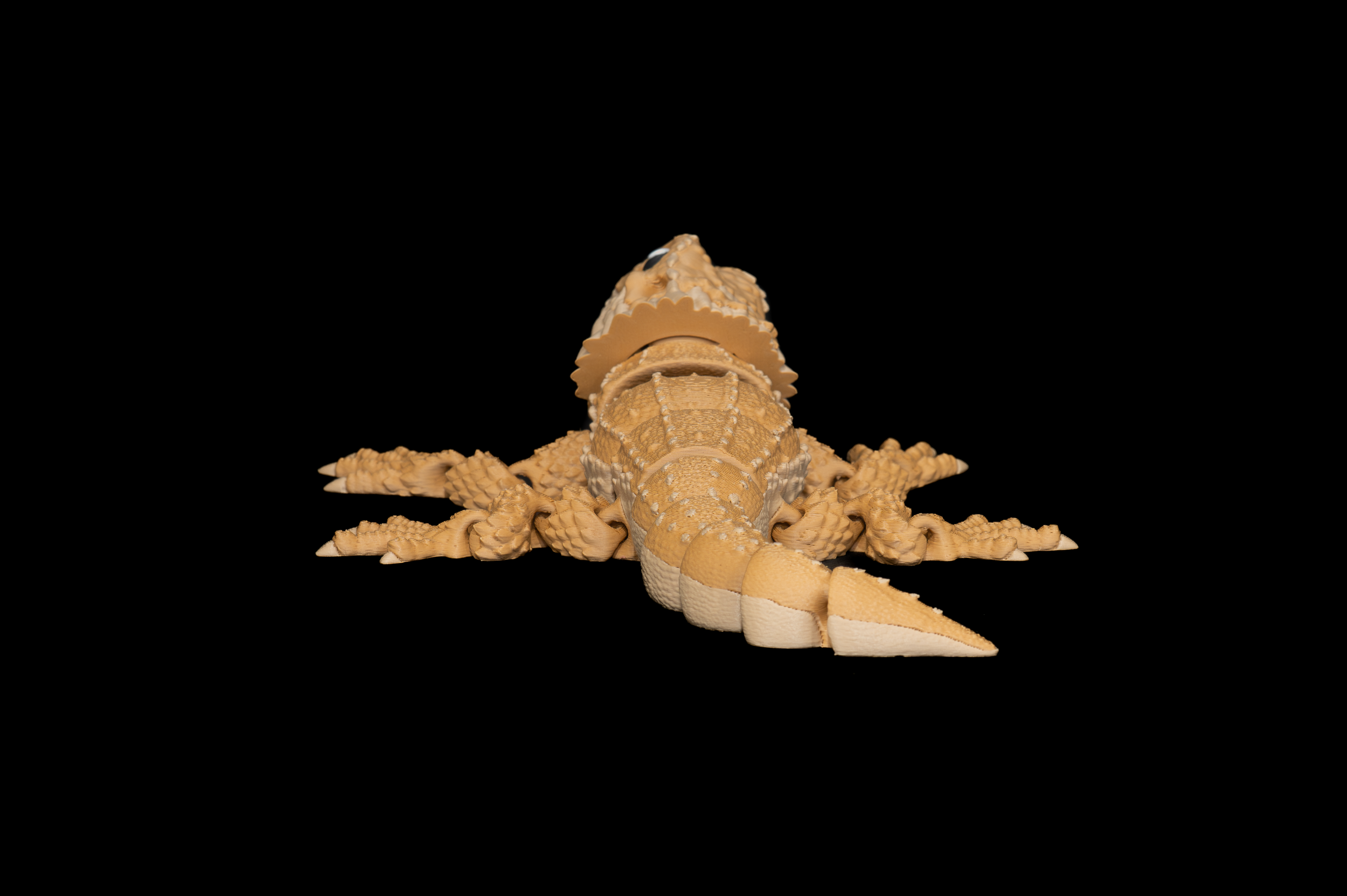 Bearded Dragon (3 of 3).png
