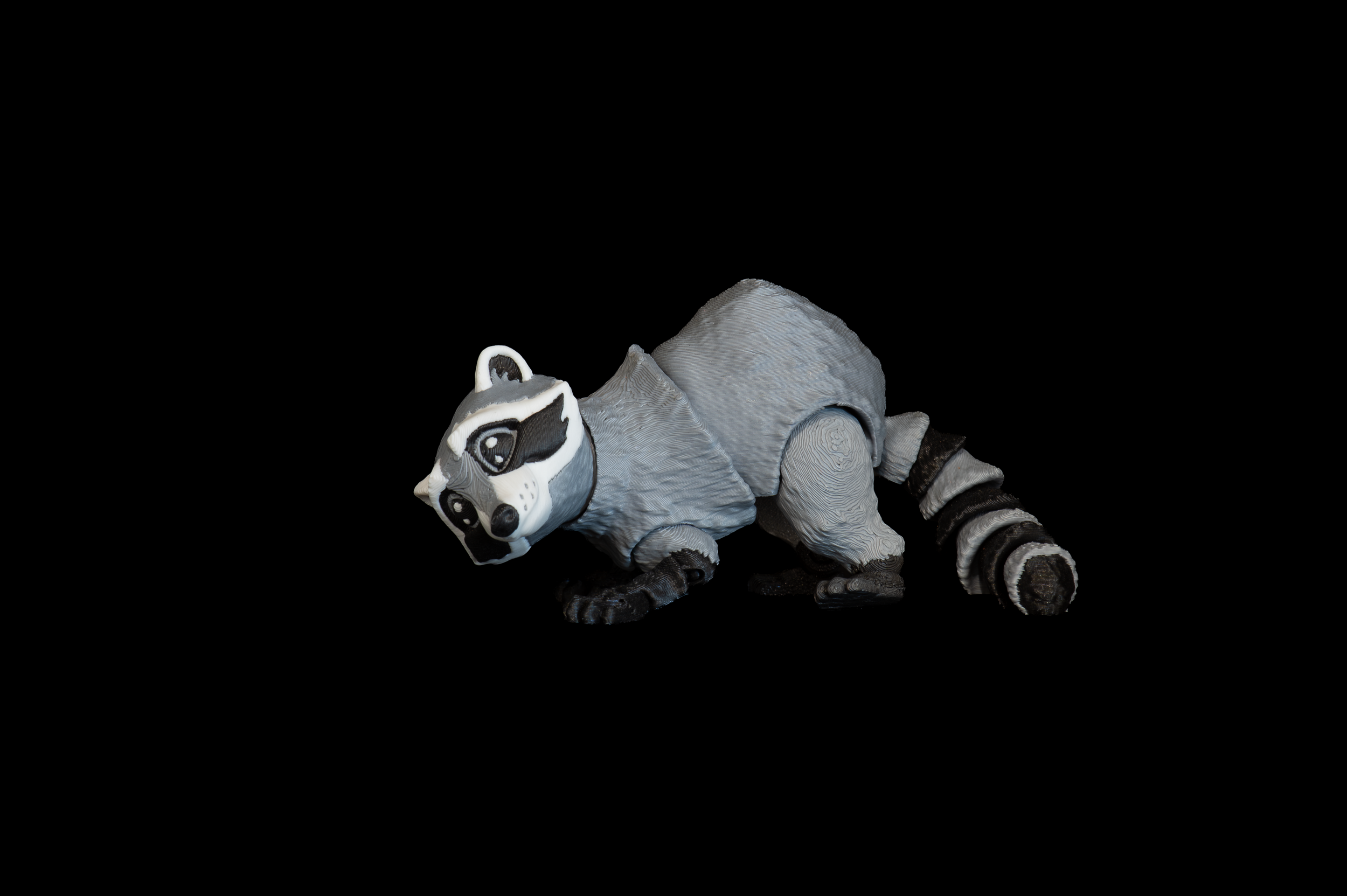 Raccoon