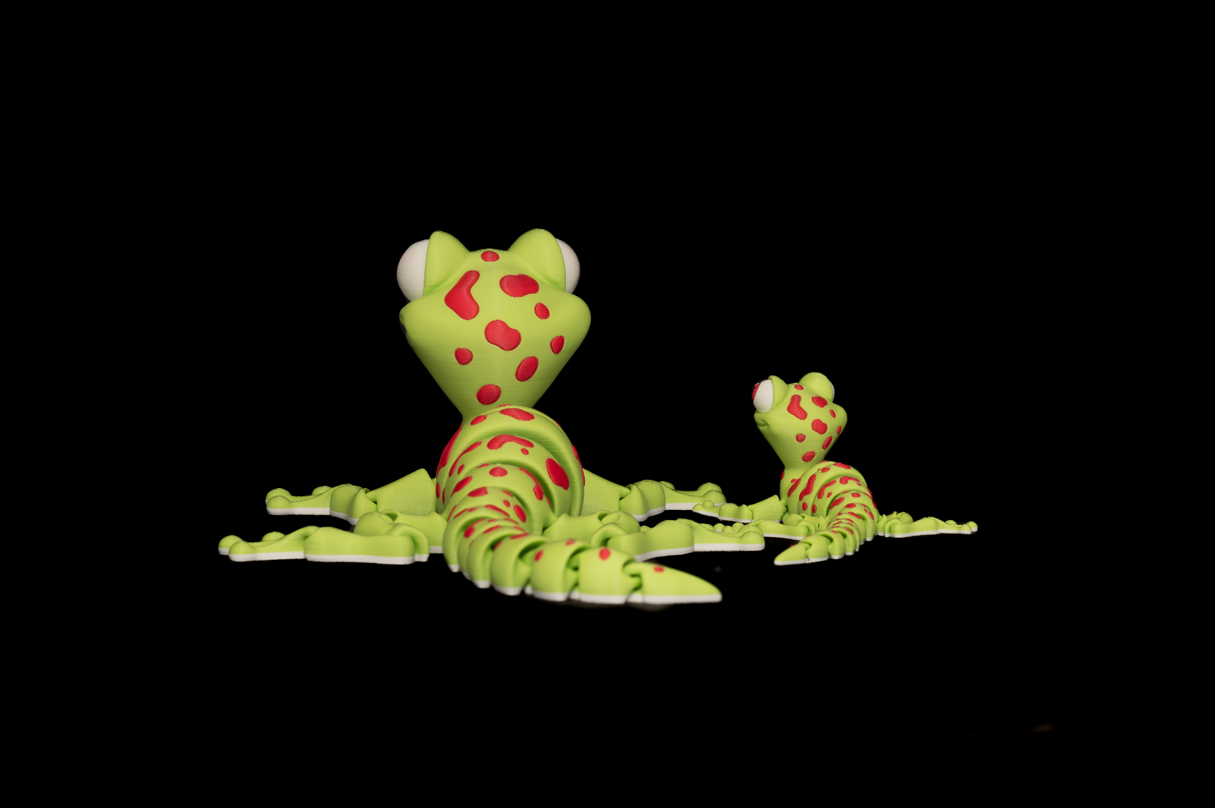 Gecko, FF  (4 of 4).png