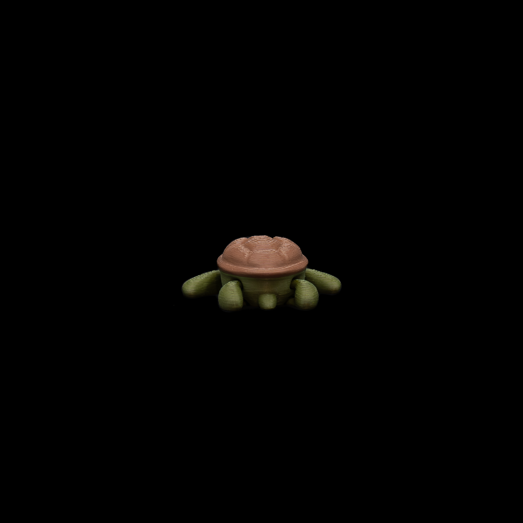 Baby Turtle (6 of 3).png
