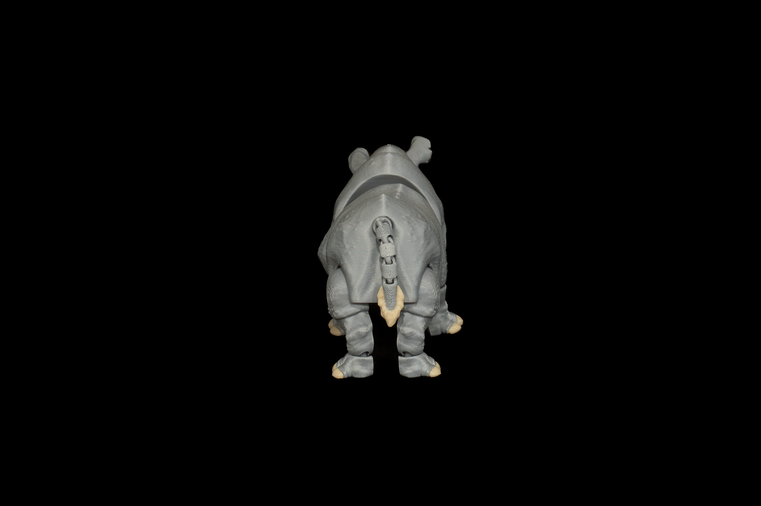 Rhino (3 of 3).png