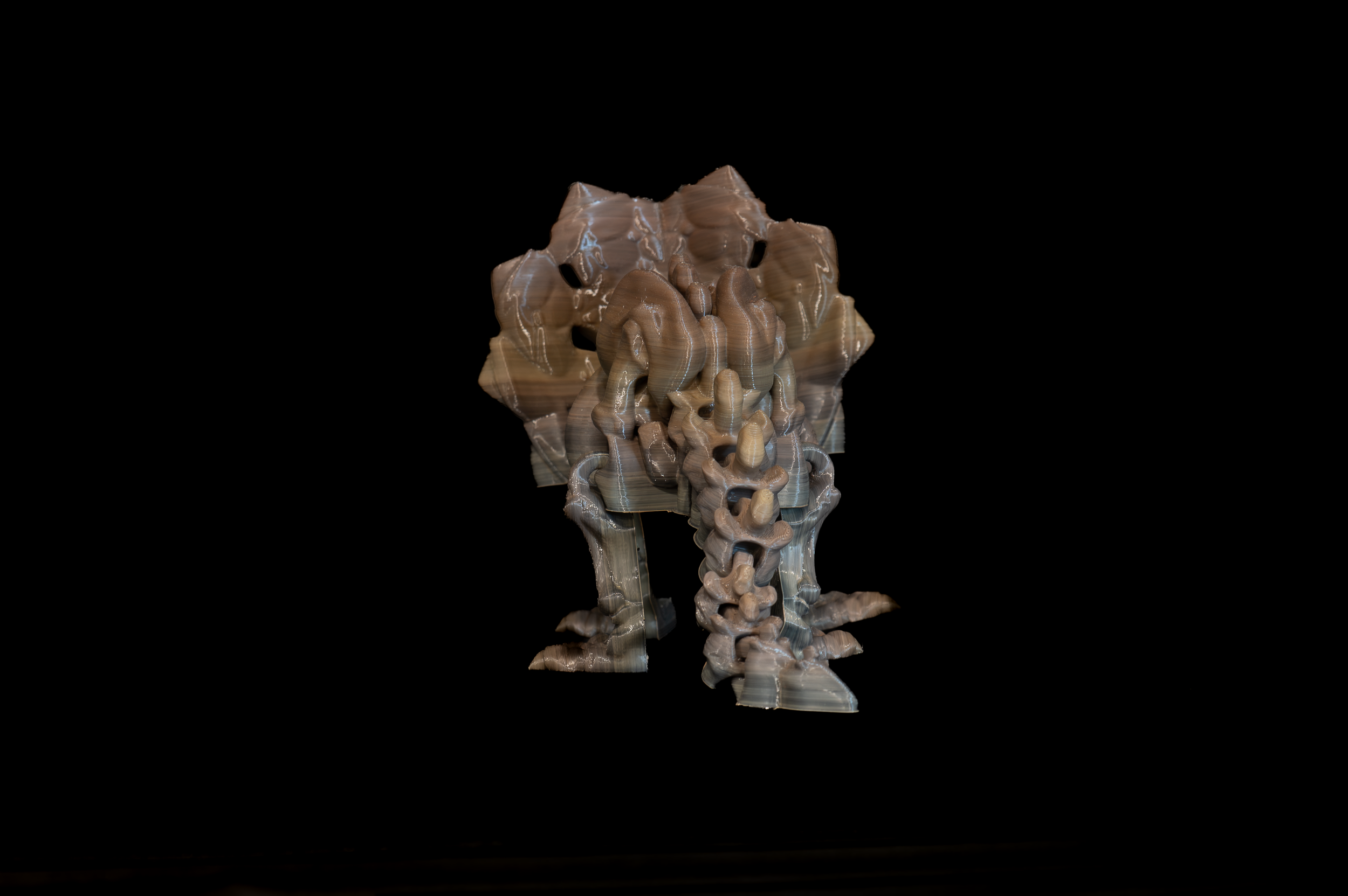 Skeleton Triceratops (3 of 3).png