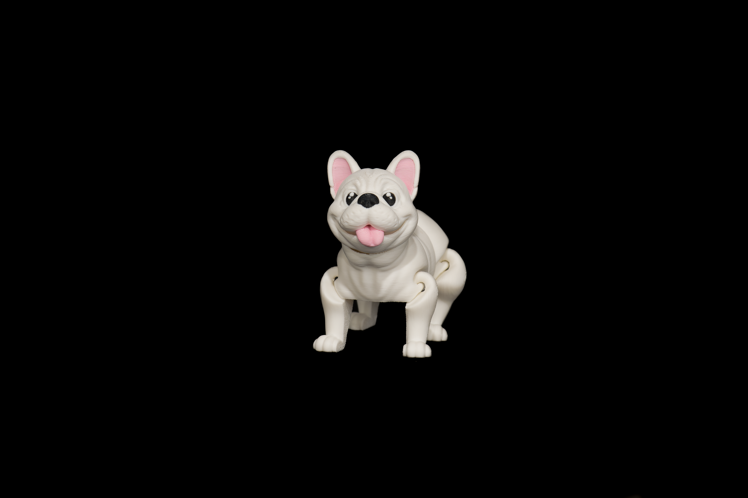 Flexi Frenchies (1 of 2).png