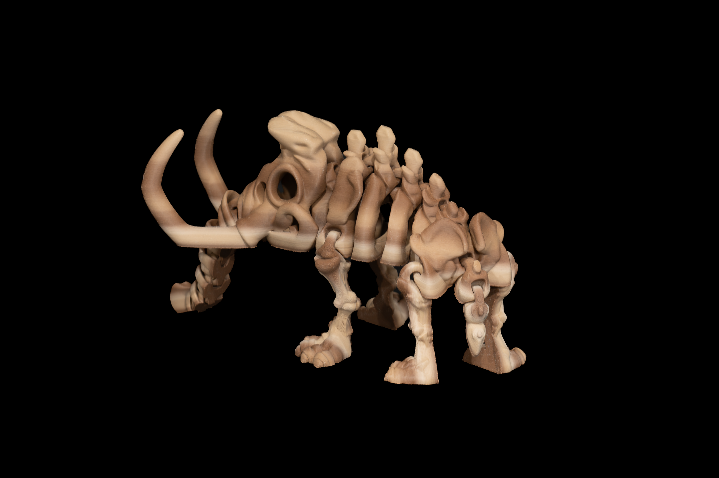 Skeleton Mammoth (1 of 1).png