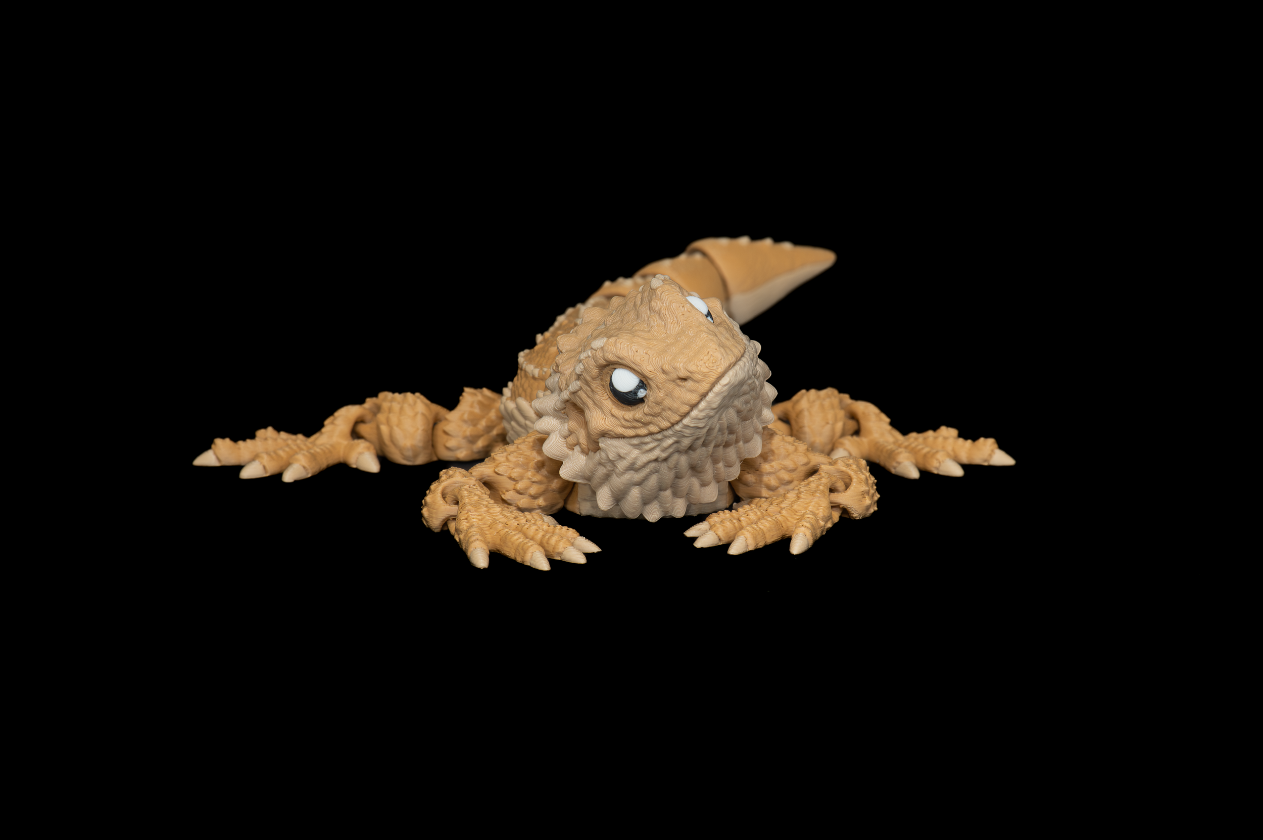 Bearded Dragon