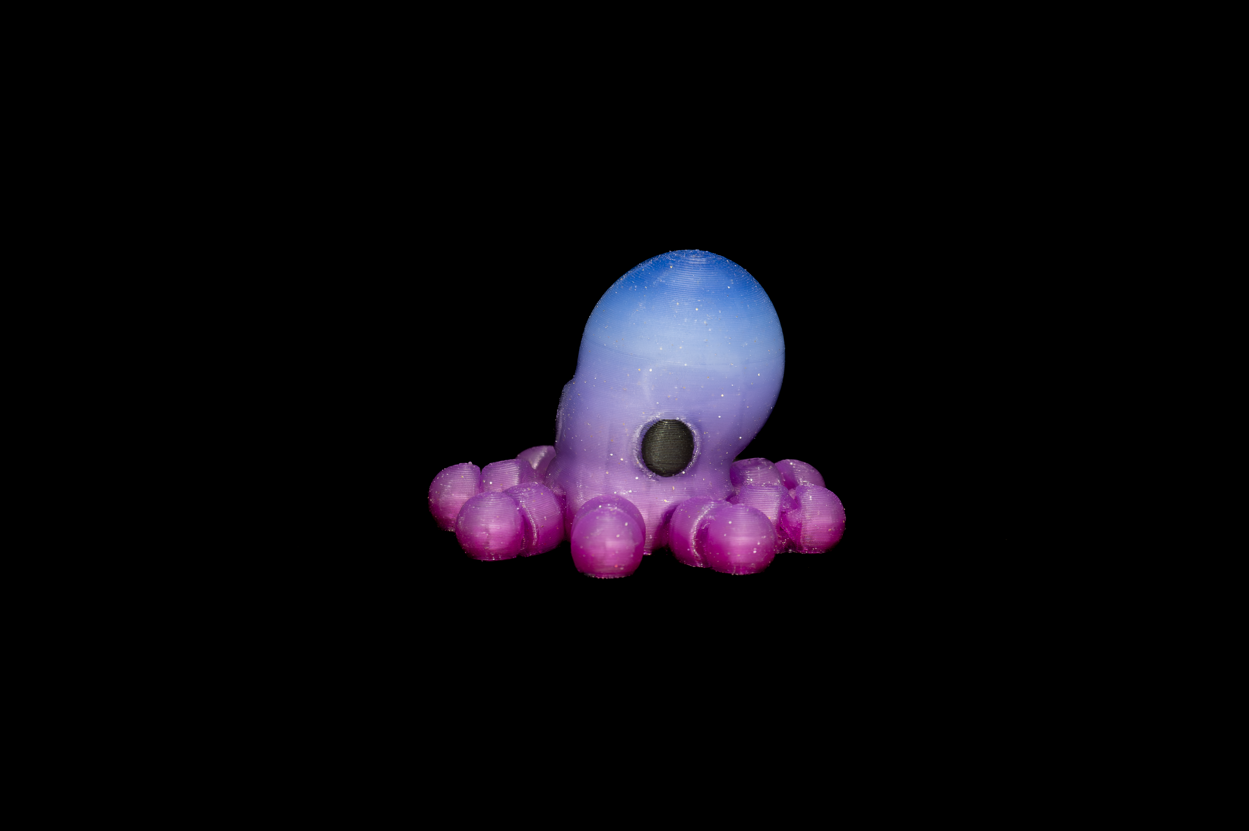 Baby Octopus