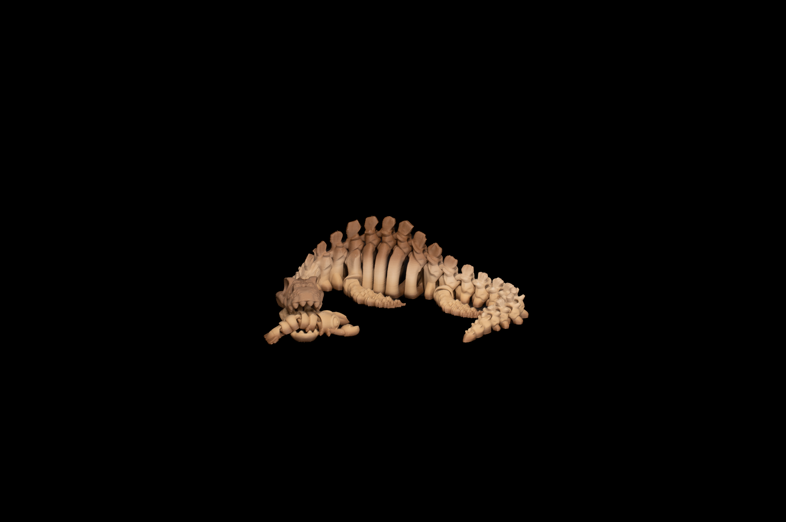Skeleton Plesiosaurus (1 of 4).png