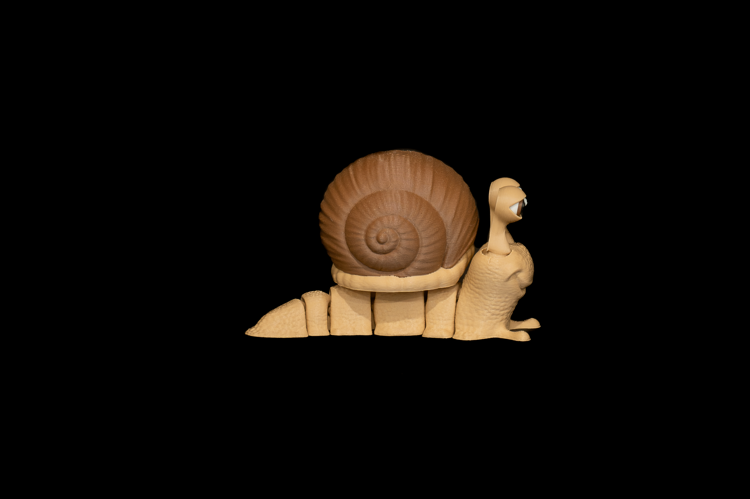 Snail (2 of 3).png