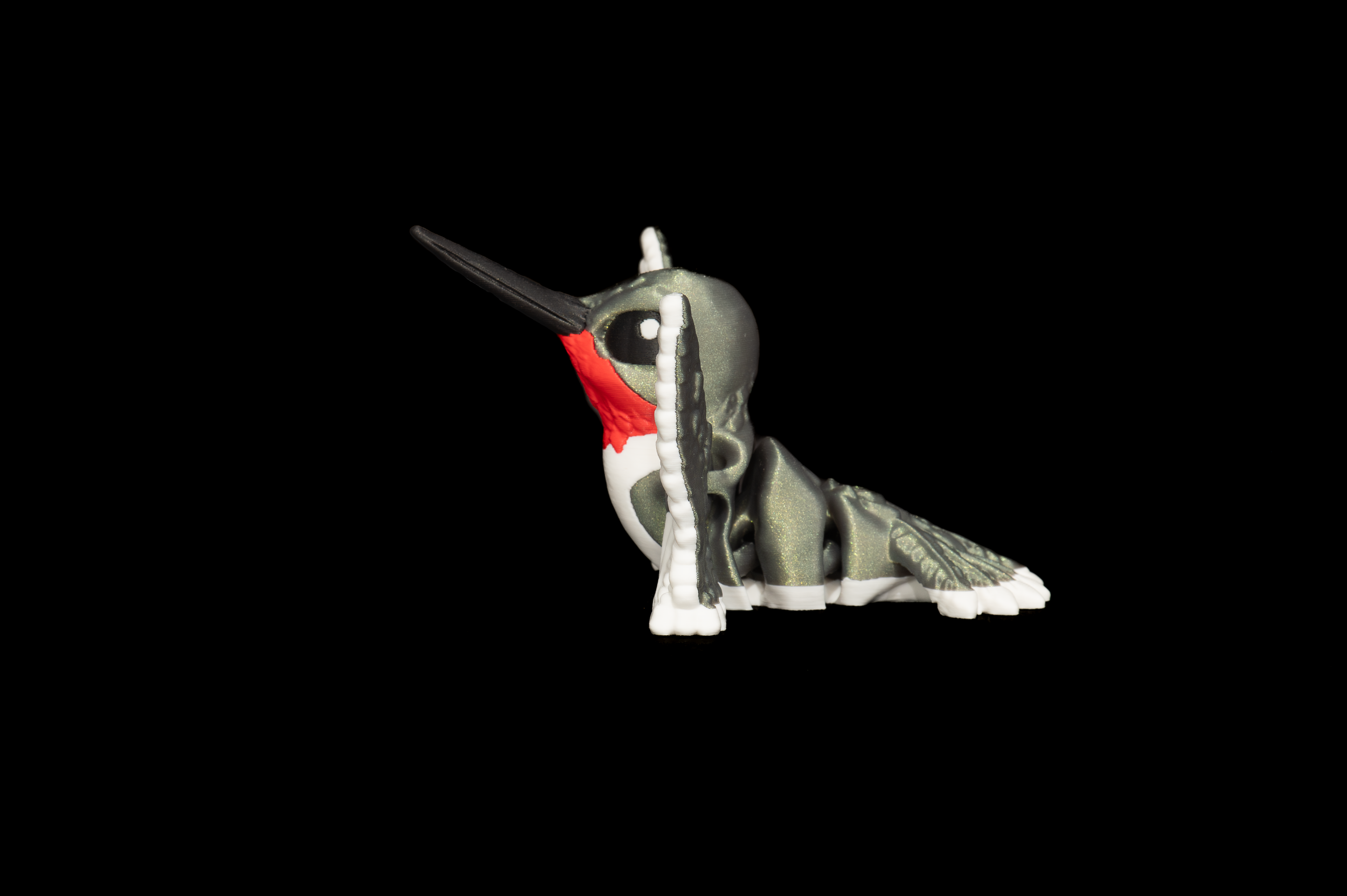 Large Hummingbird (1 of 1).png