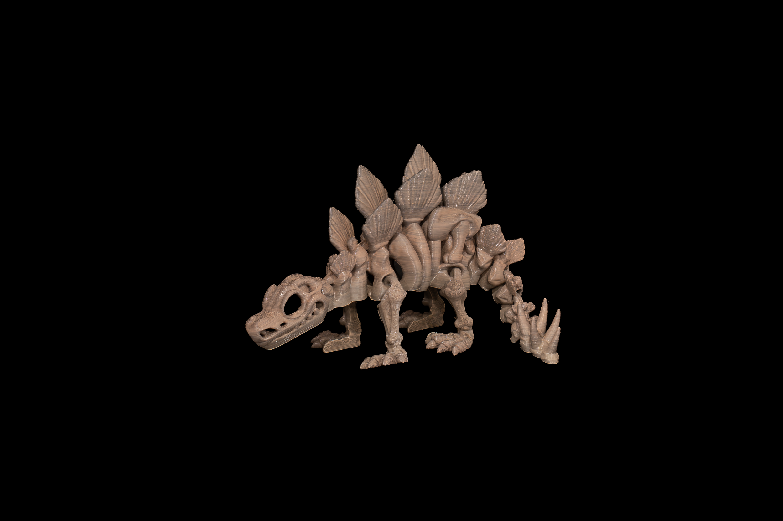 Skeleton Stegosaurus