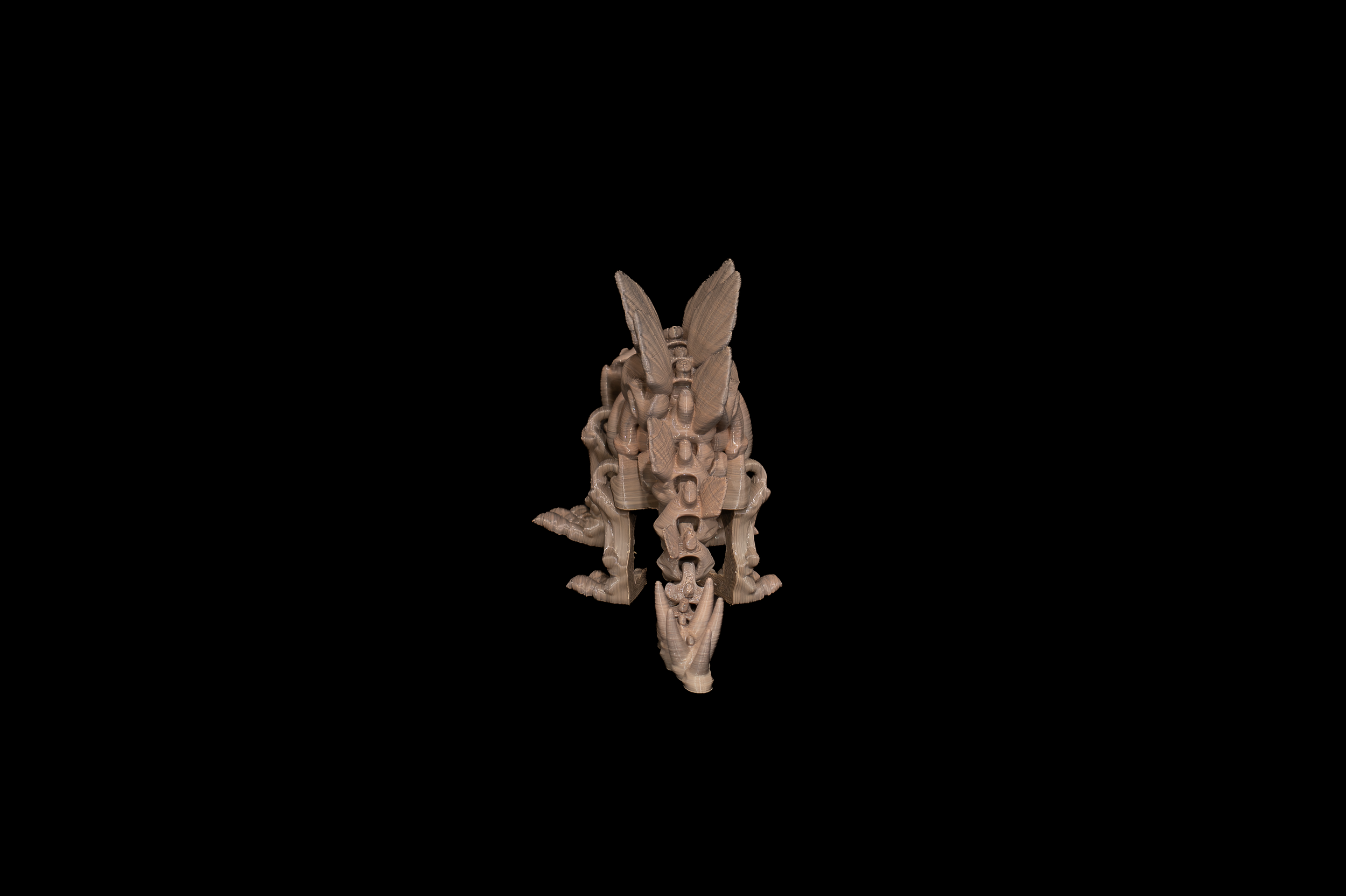 Skeleton Stegosaurus (3 of 4).png