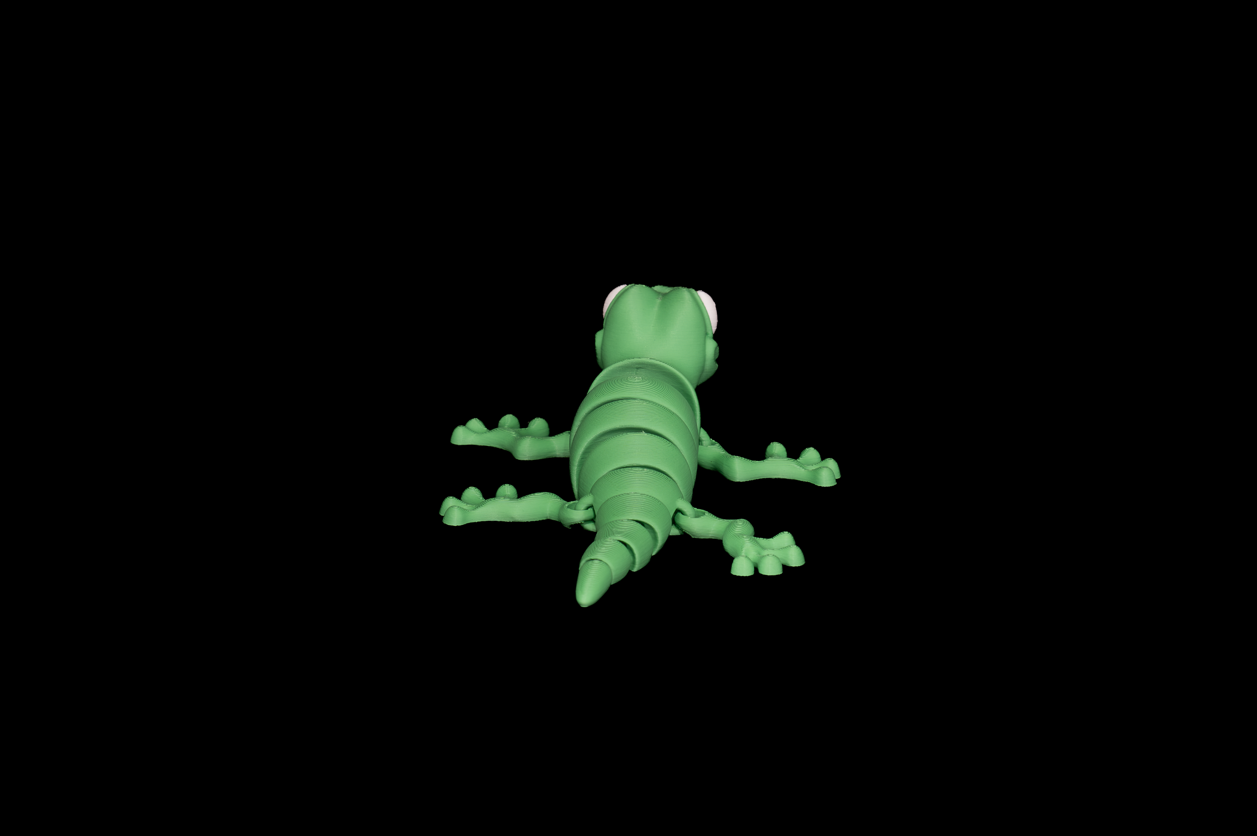 Gecko (2 of 3).png