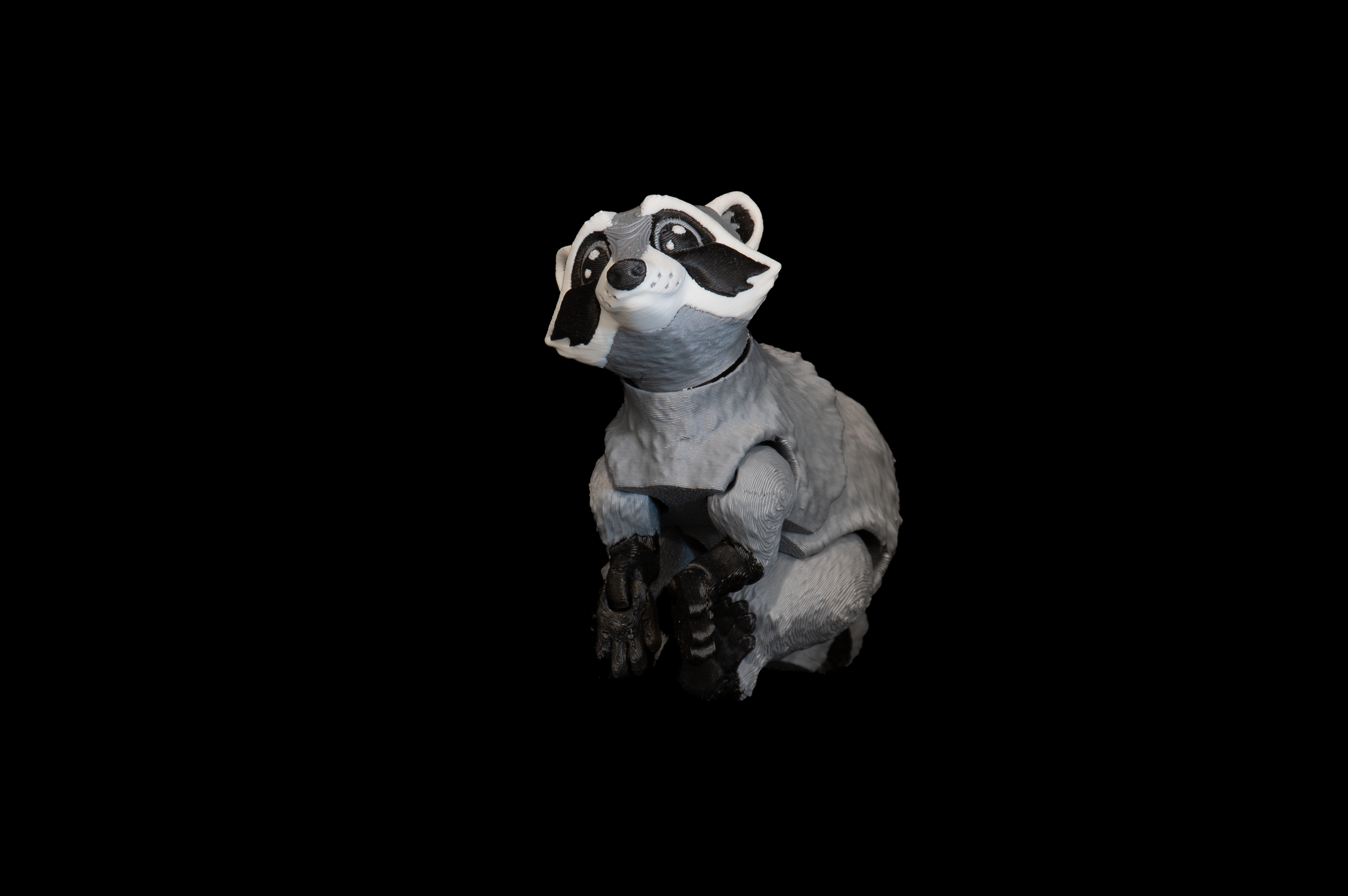 Raccoon (1 of 3).png