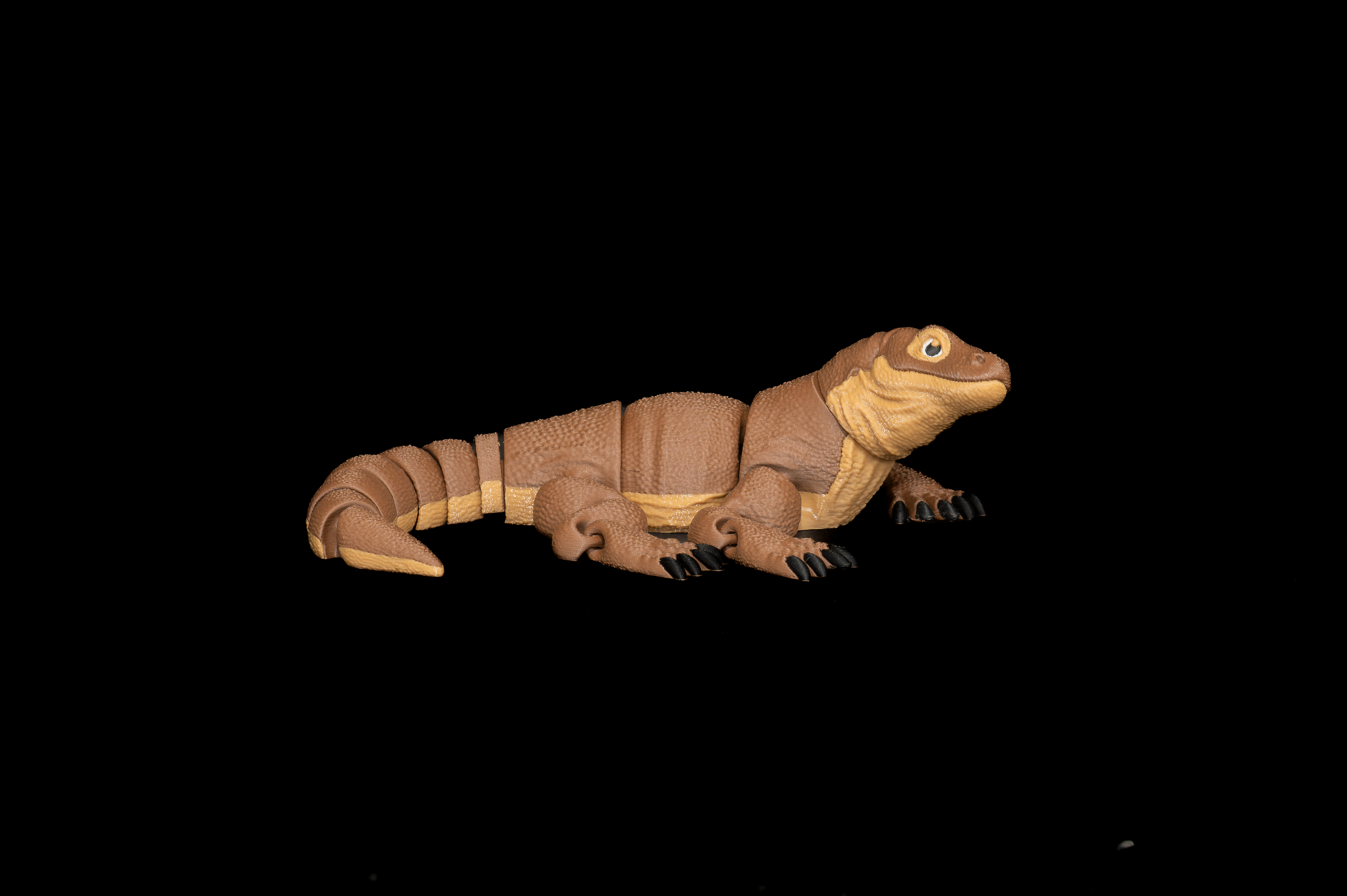 Komo Dragon (2 of 3).png