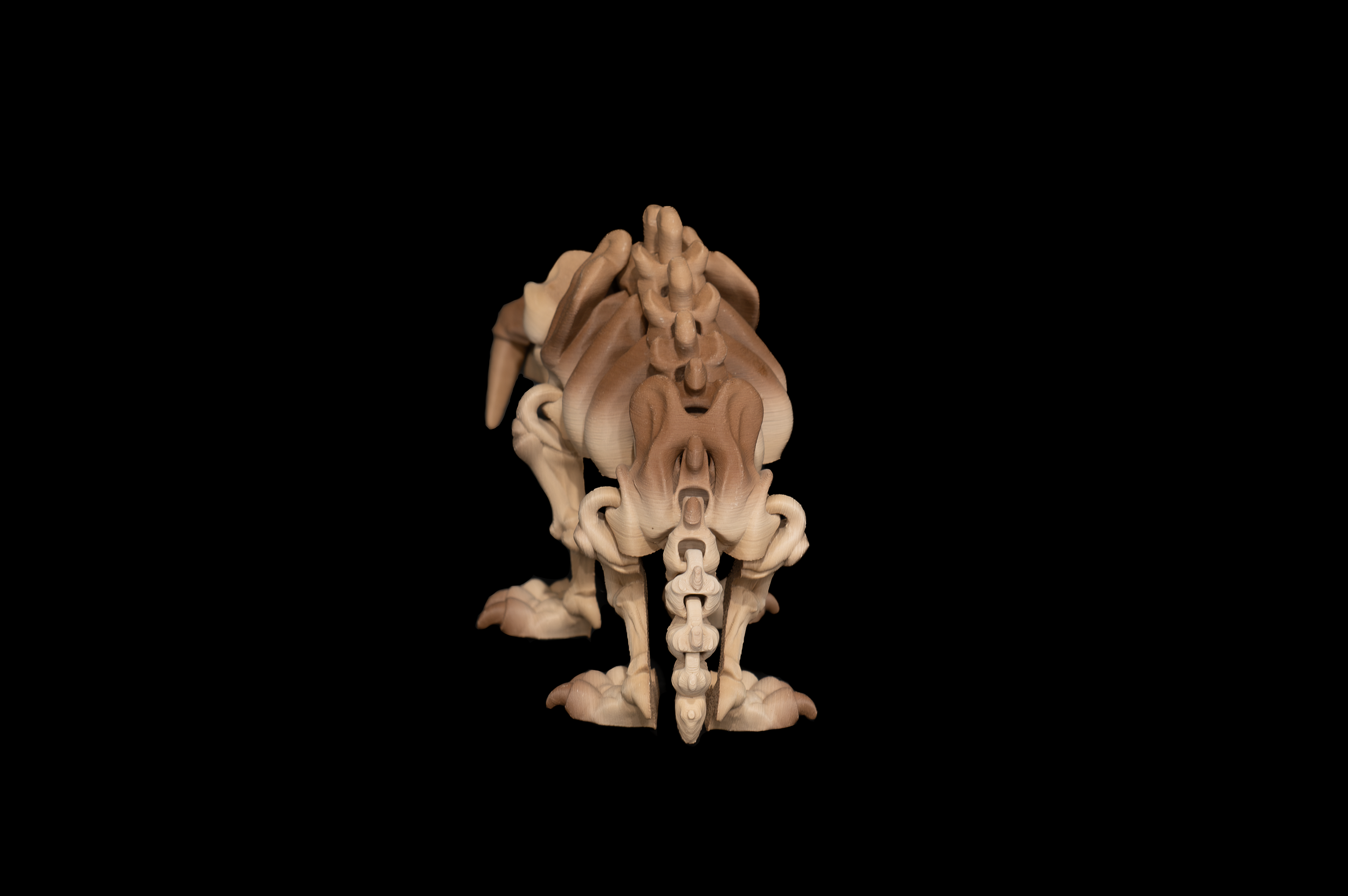 Skeleton Saber Tooth Tiger (3 of 3).png