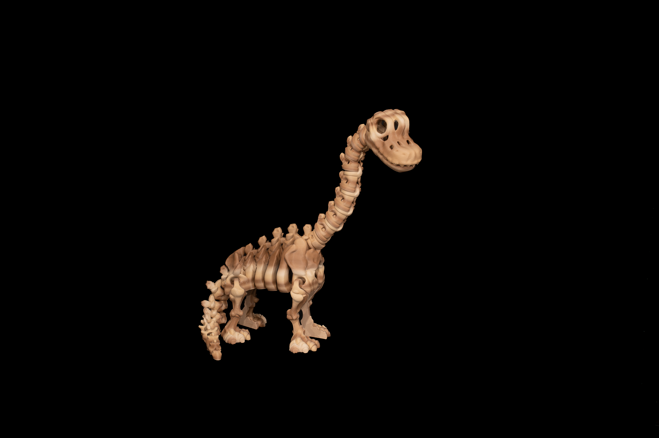 Skeleton Brachiosaurus