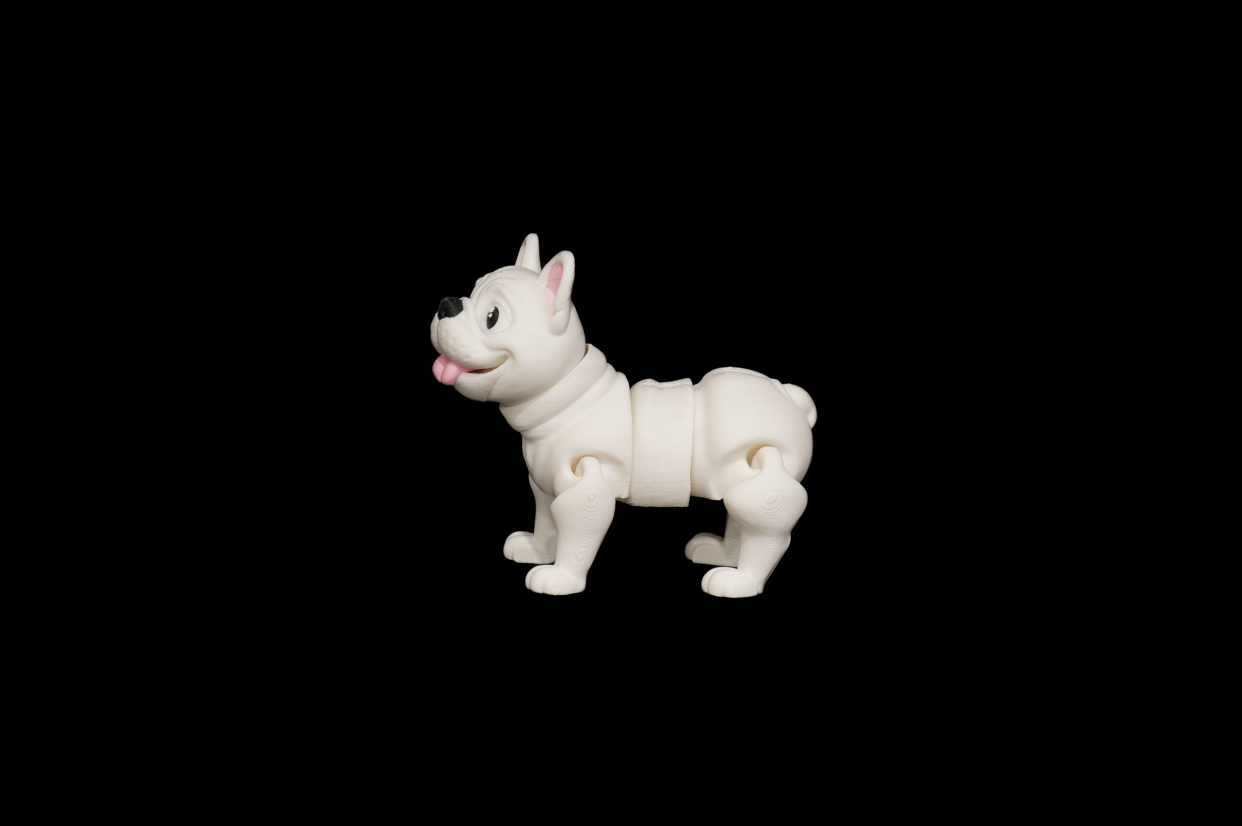 Flexi Frenchies (2 of 2).png