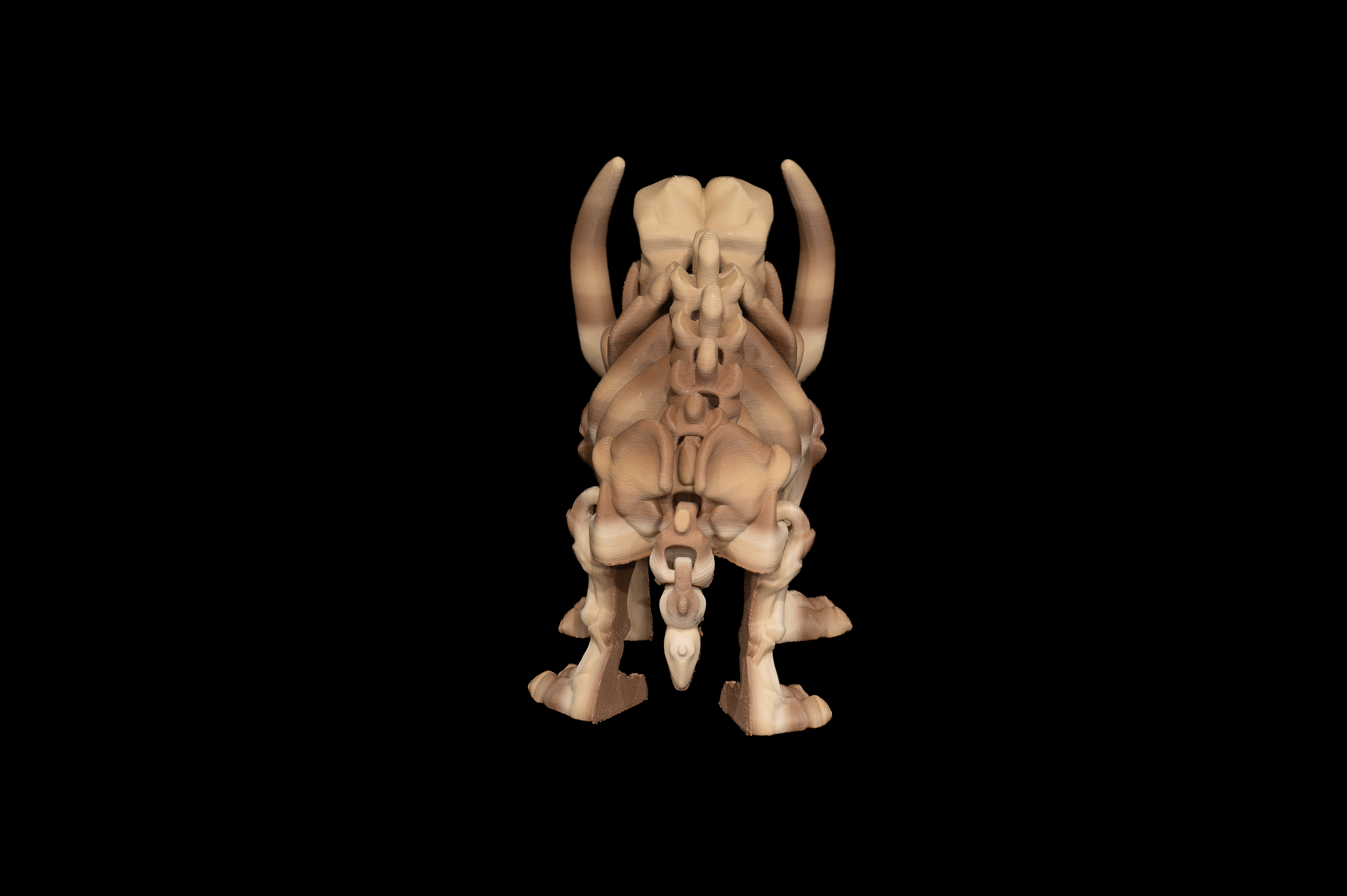 Skeleton Mammoth (3 of 3).png