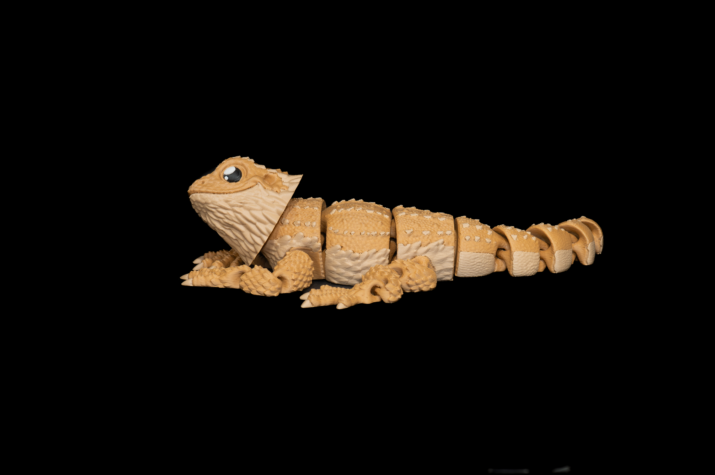 Bearded Dragon (2 of 3).png