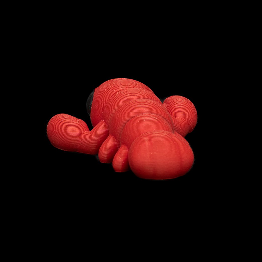 2026 Mini (5 of 2).png