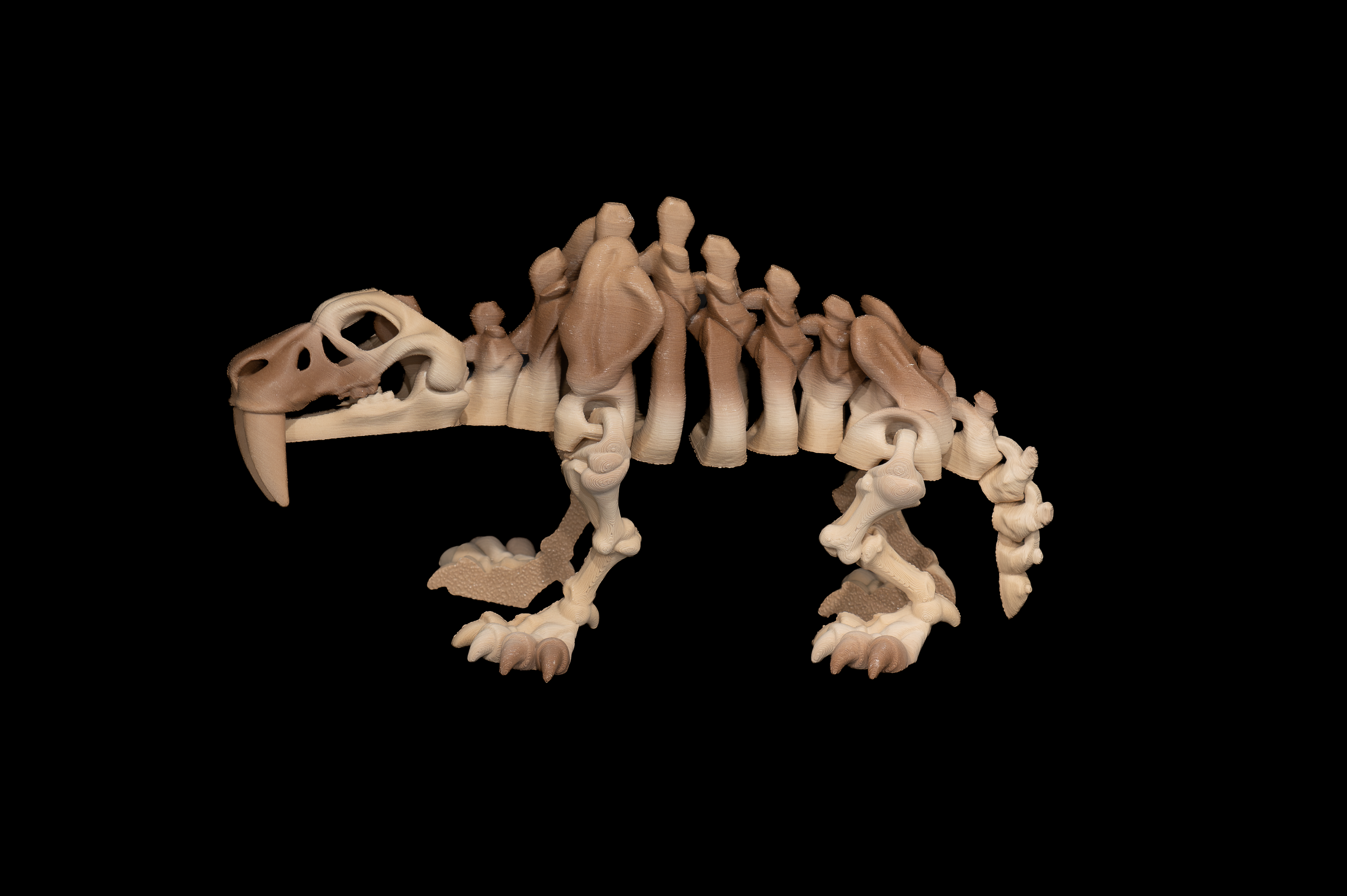 Skeleton Saber Tooth Tiger (2 of 3).png