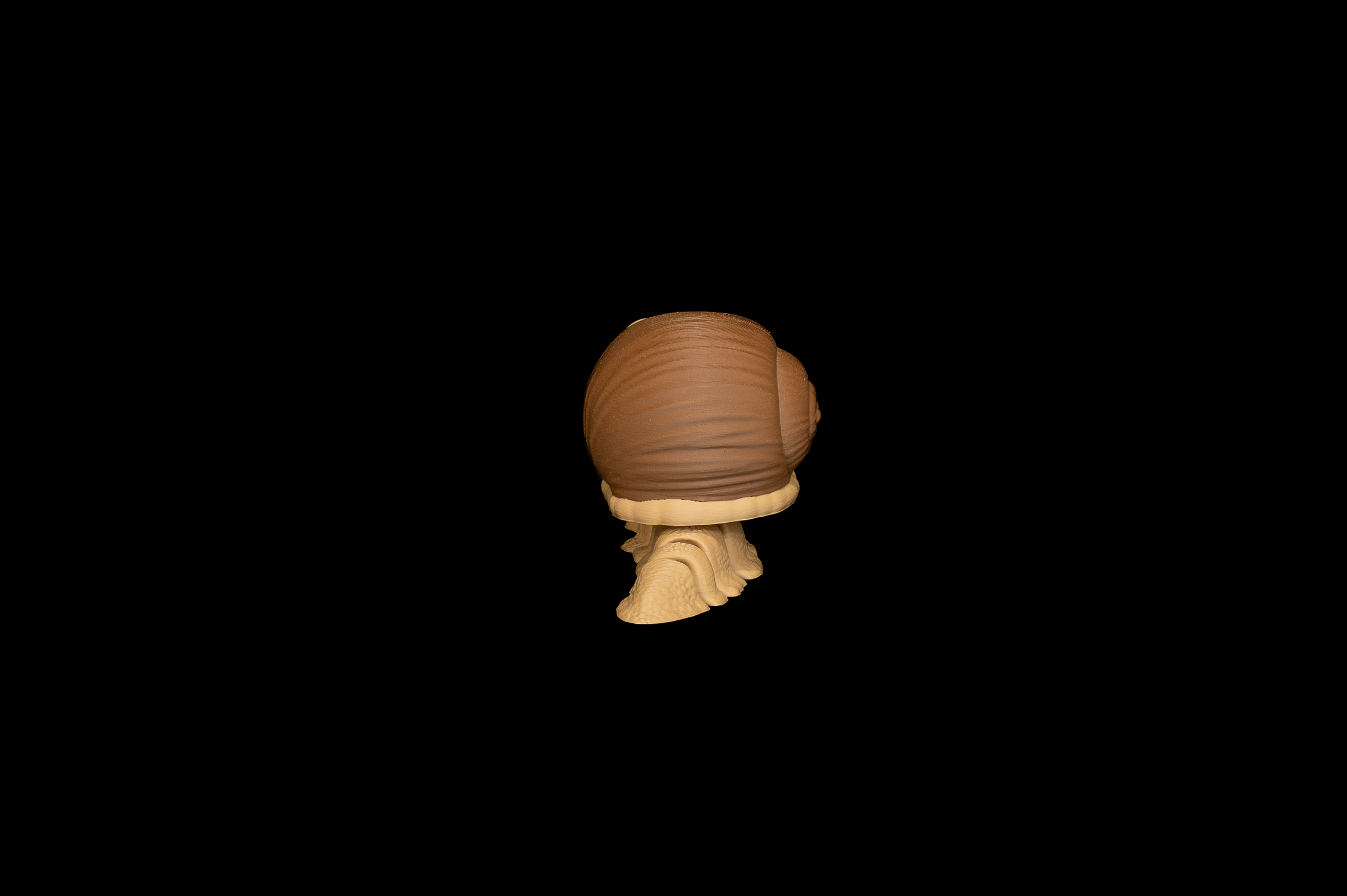 Snail (3 of 3).png