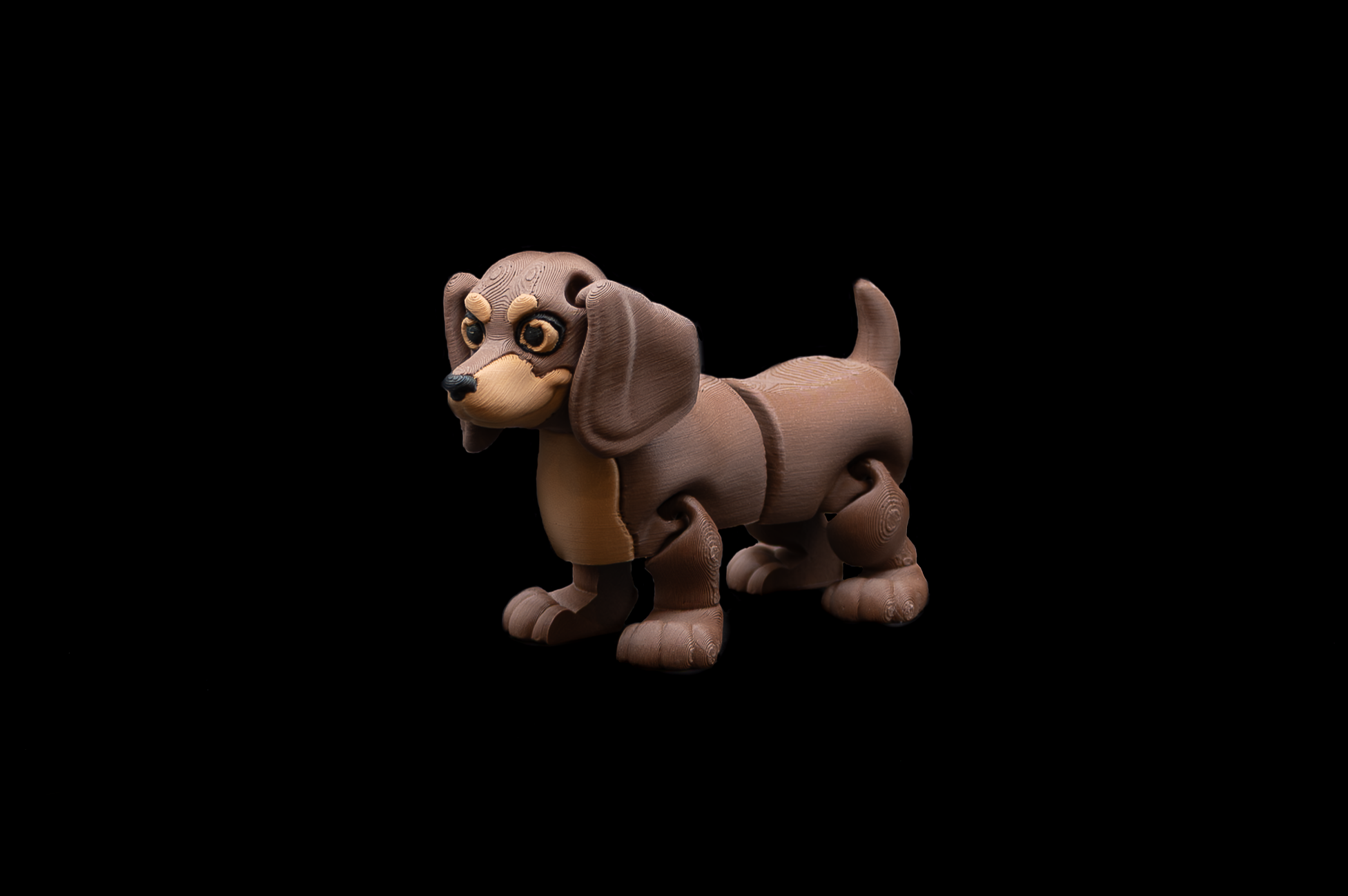 Dachshund Dog (1 of 2).png