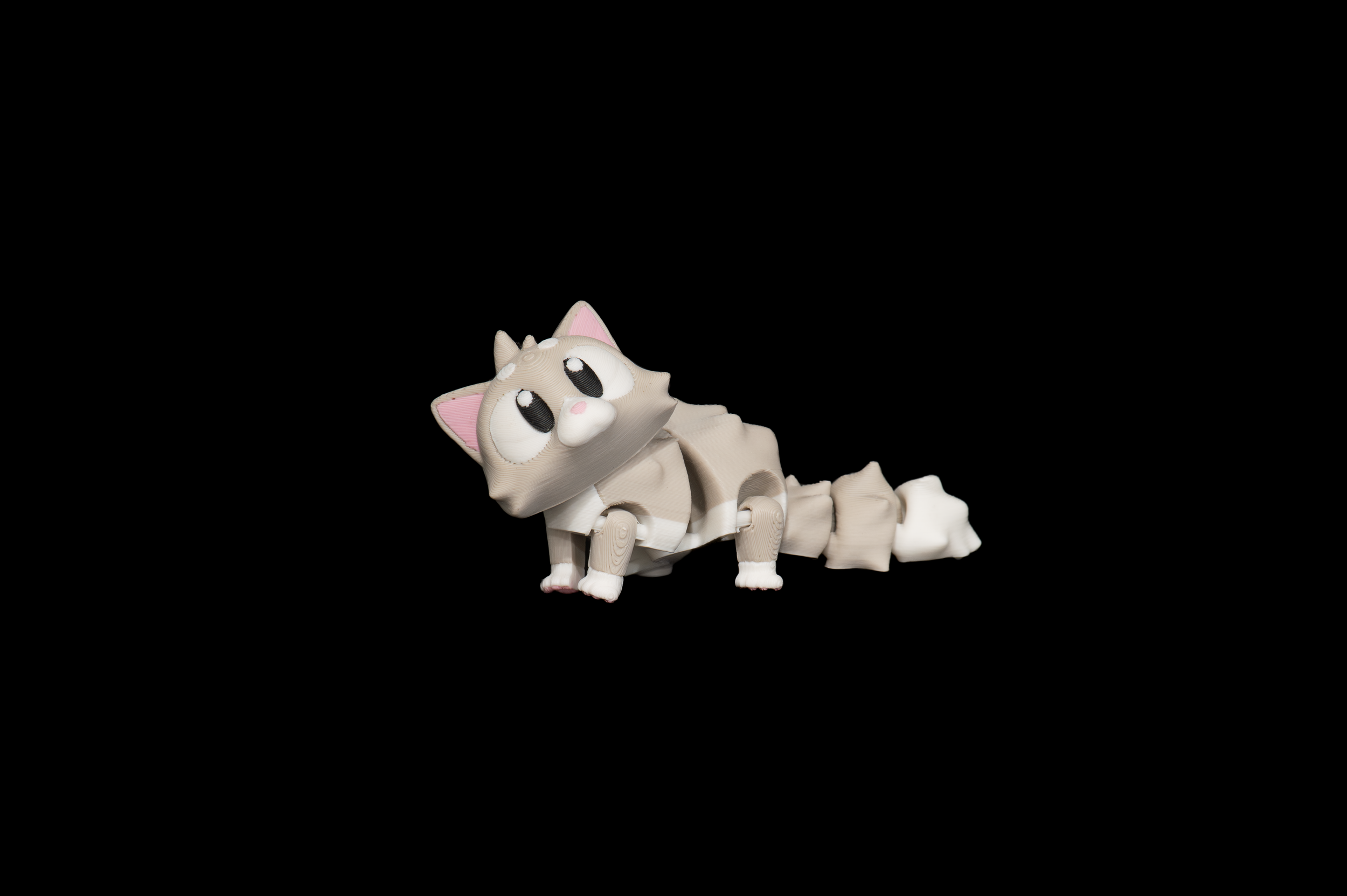 Cat, GOB