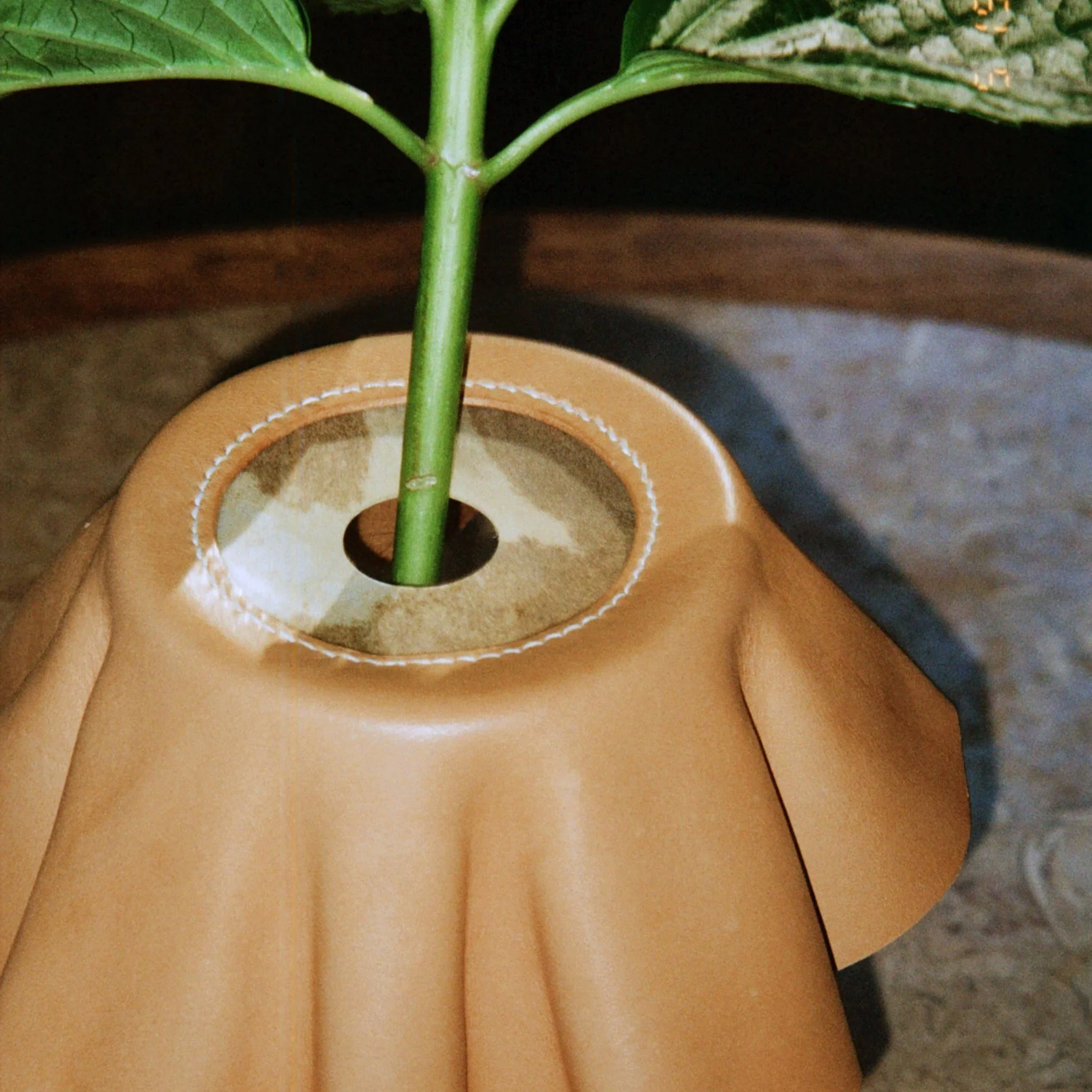 Wet Molded Vachetta Leather, Goat Parchment, Linen Thread