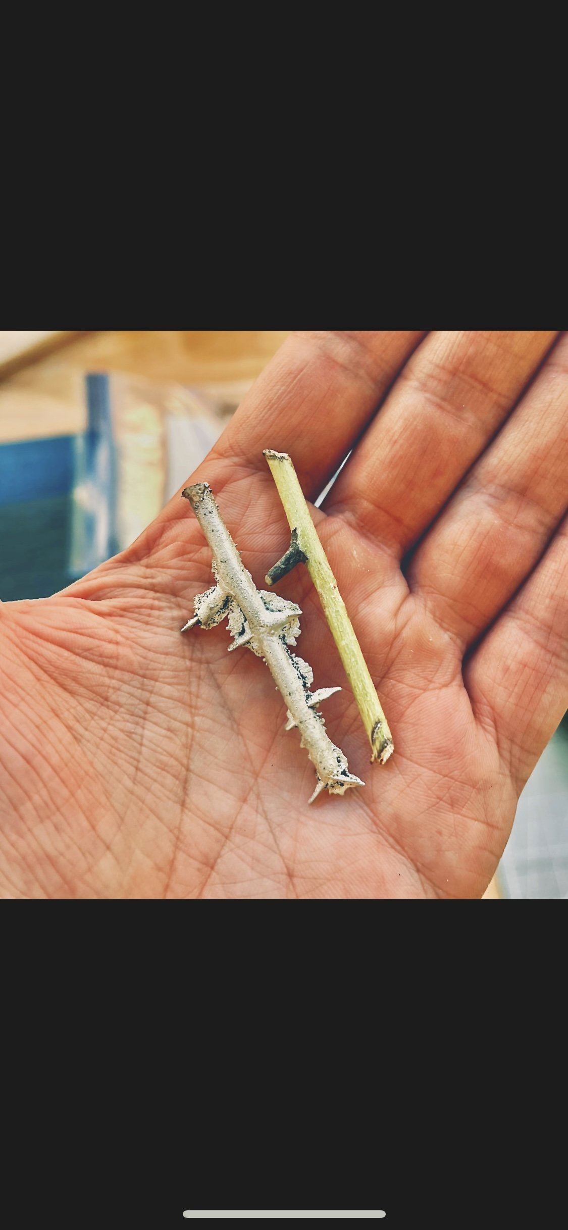 Sterling Silver Twig