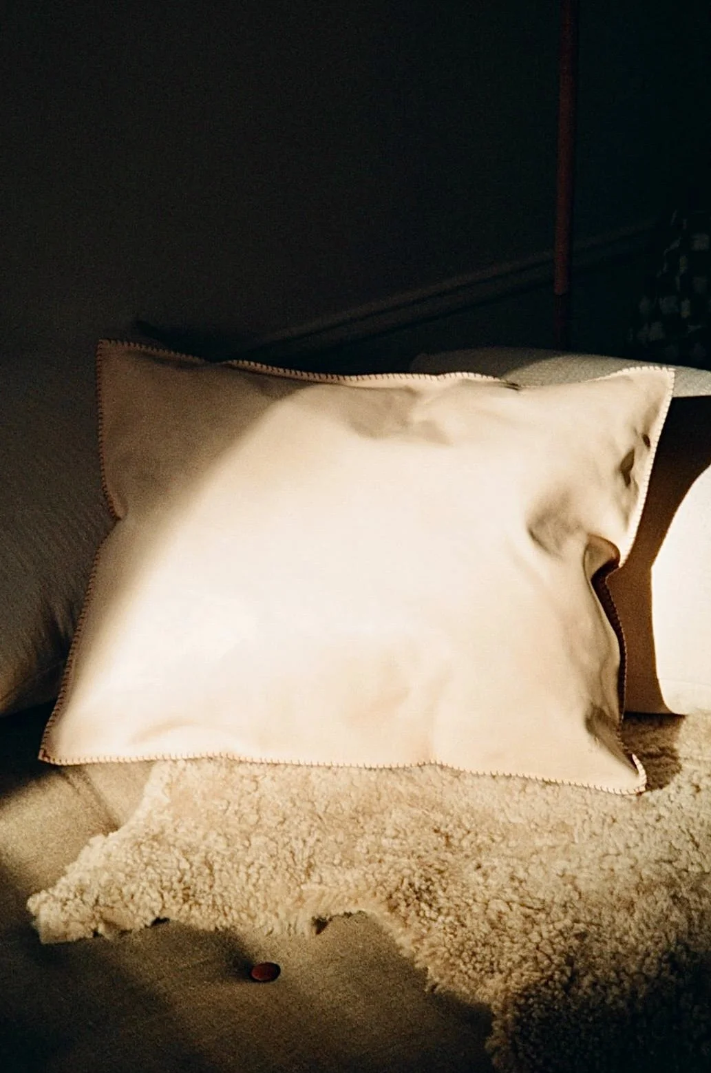 Leather Pillow