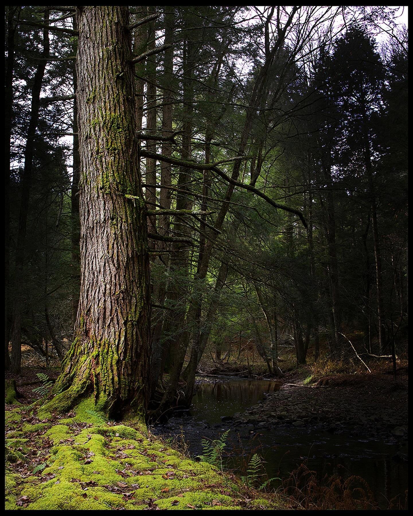catskills nov 2023