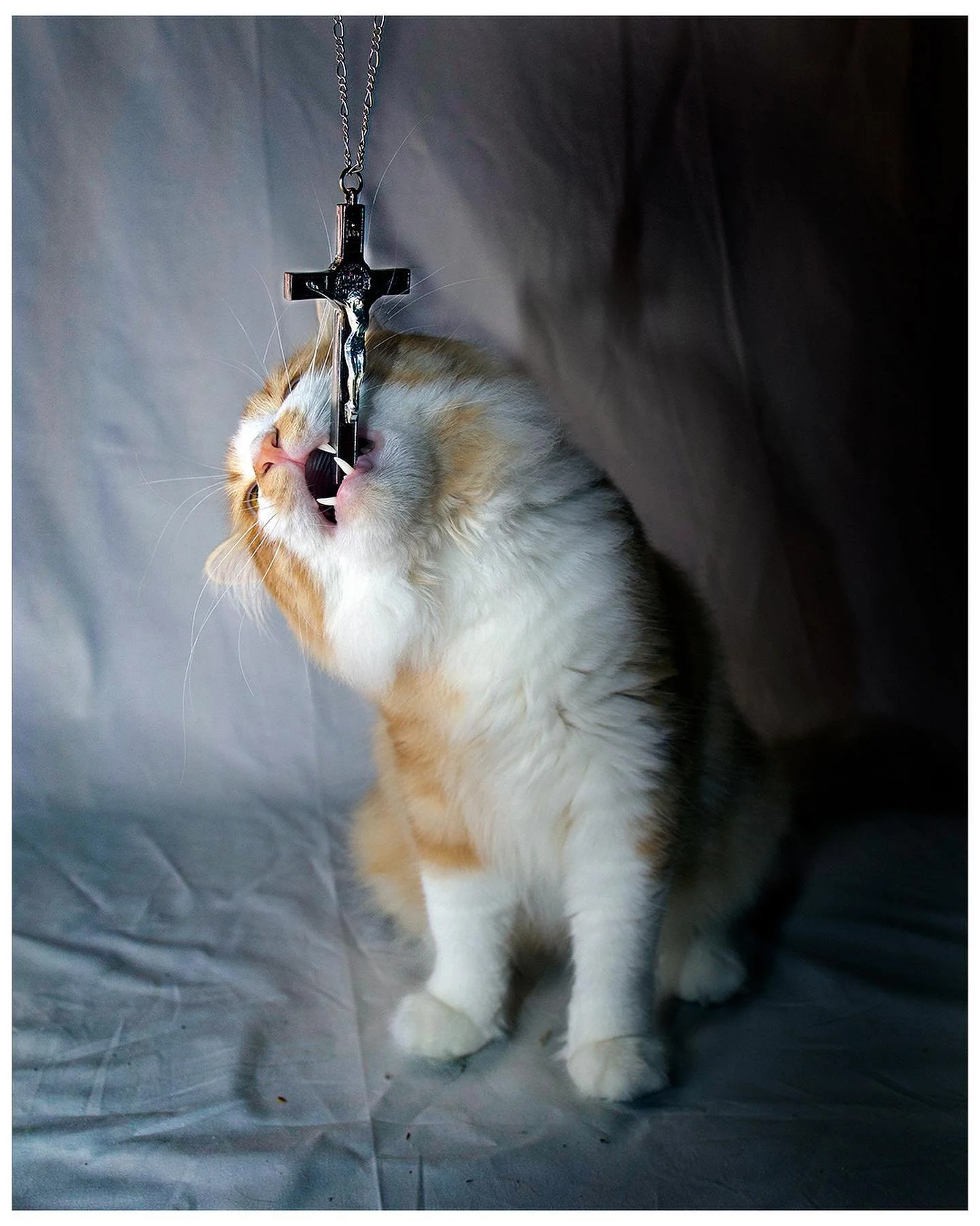 mangos stance on religion