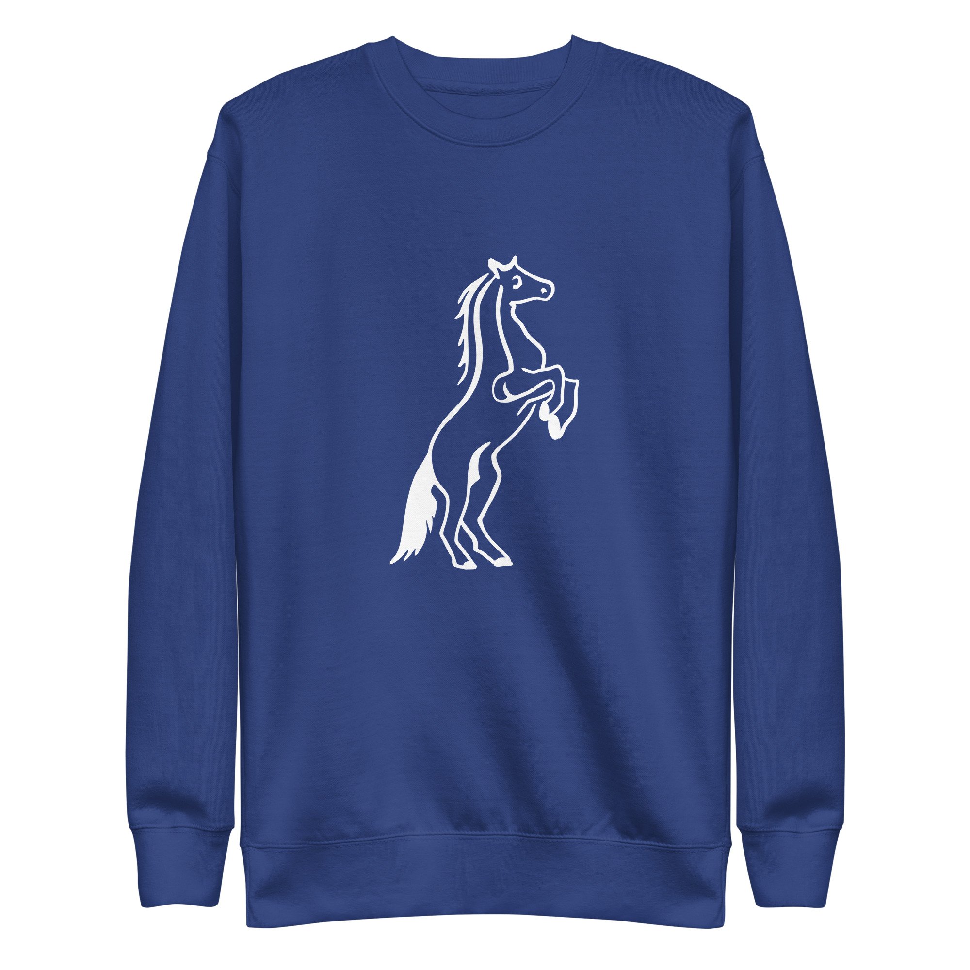 unisex-premium-sweatshirt-team-royal-front-6782f92d962ed.jpg