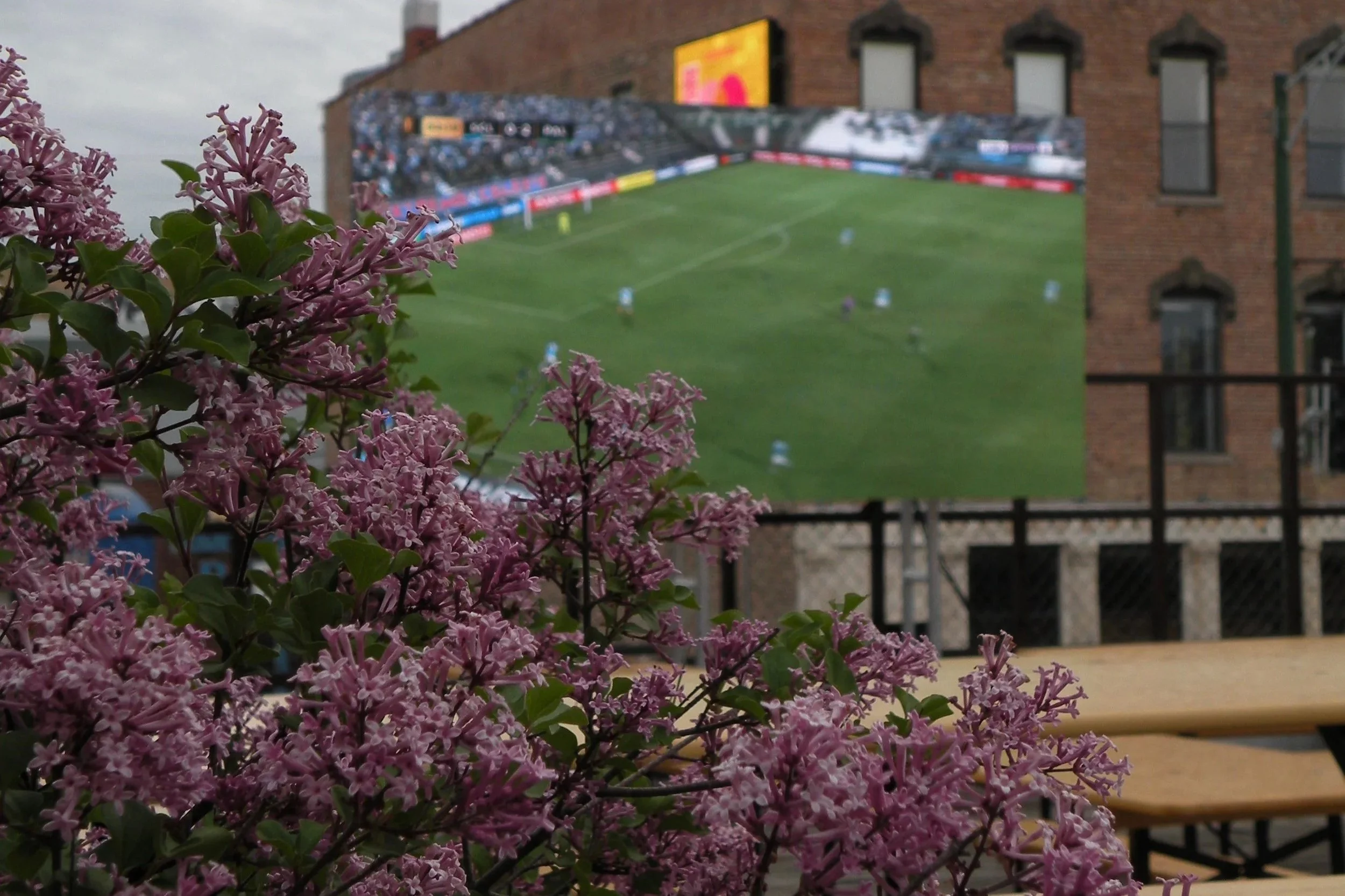 One Month of Soccer House!