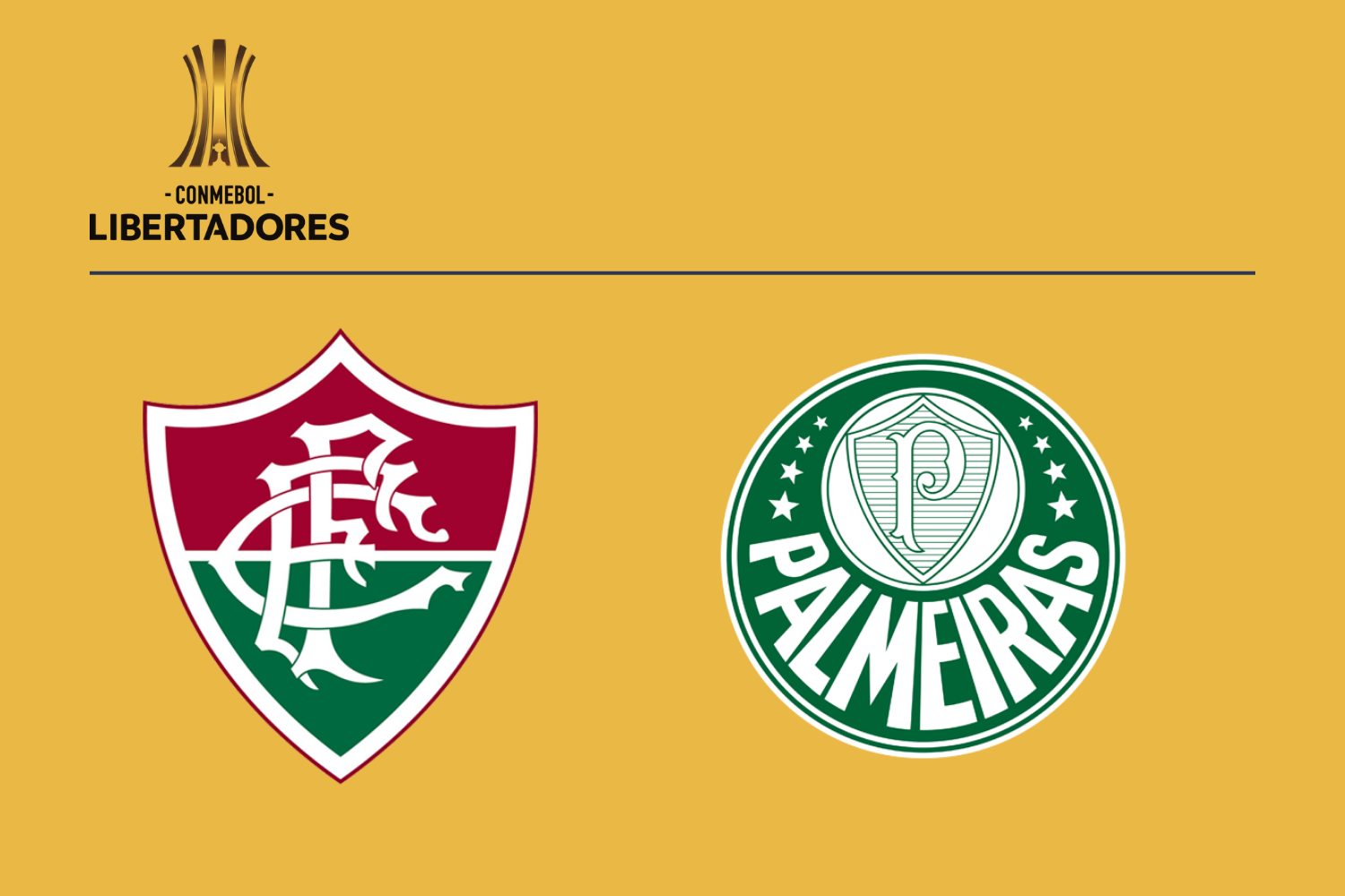 Fluminense vs Palmeiras