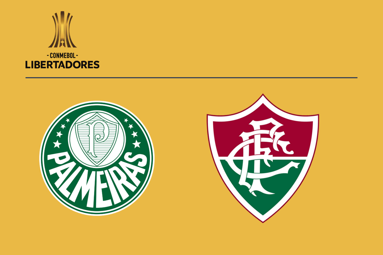 Palmeiras vs Fluminense