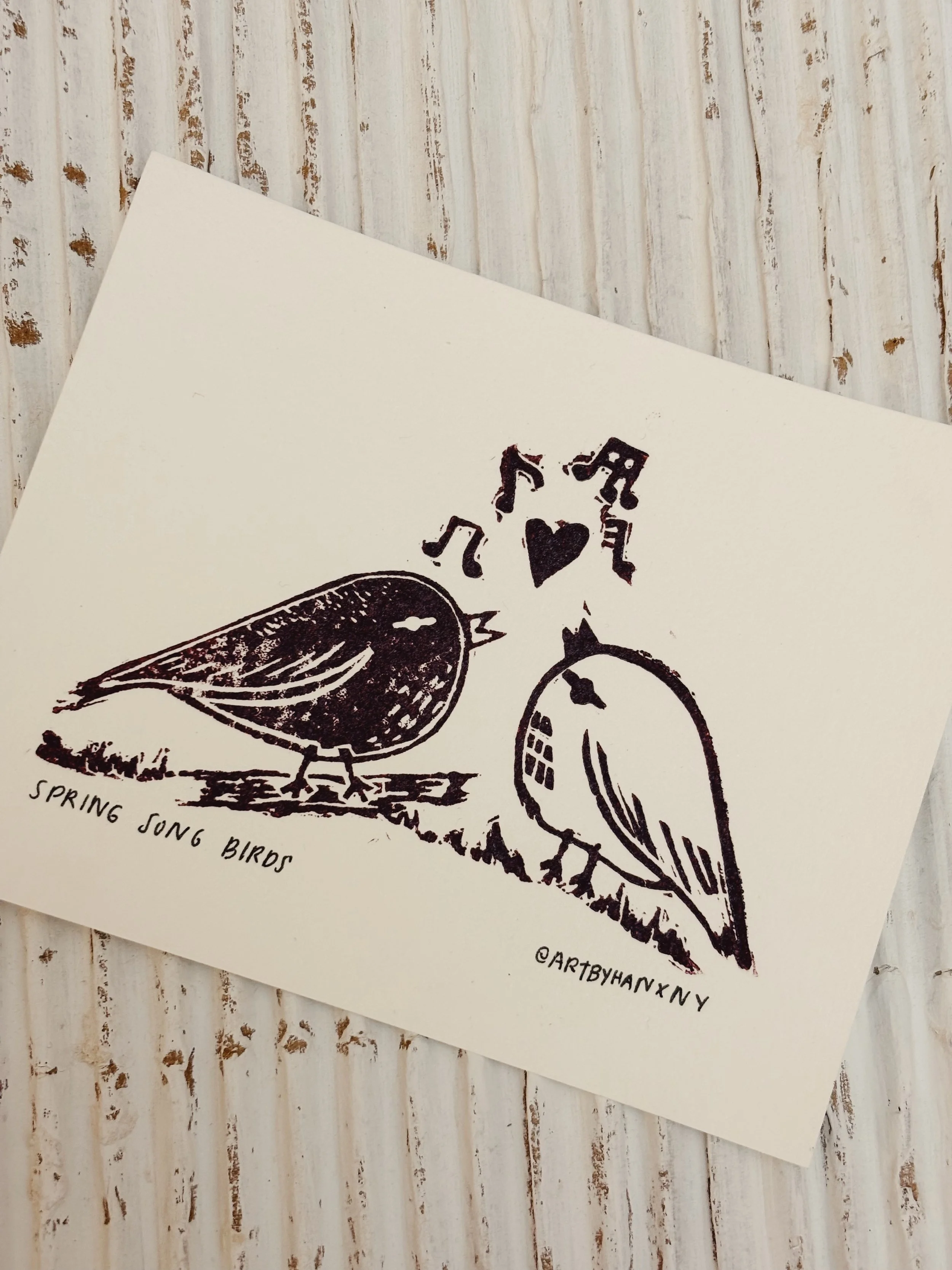 spring song birds 2.JPG