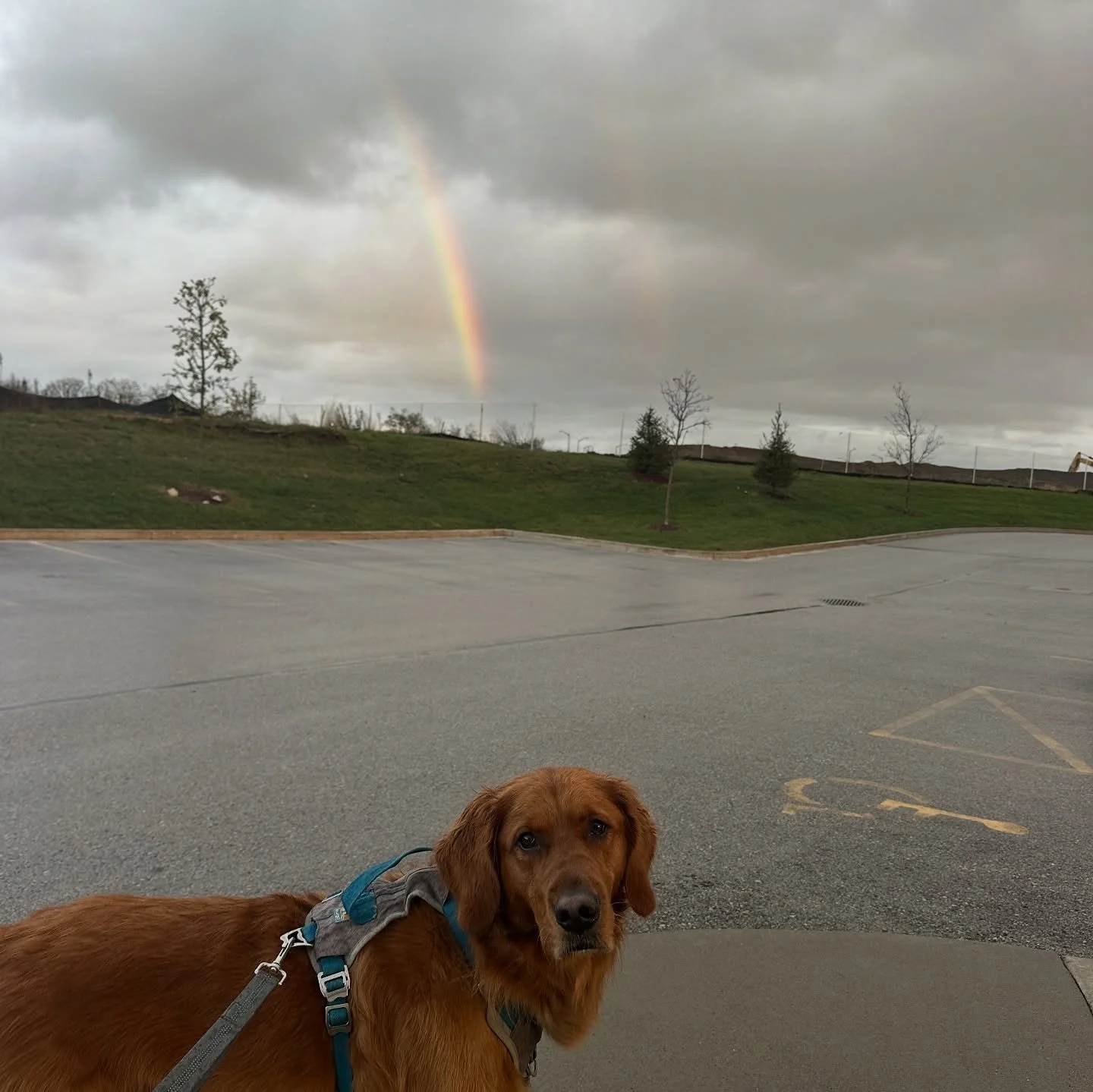 Two double rainbows in a span of 10 days, not sure what message mama is sending me but I&rsquo;m grateful nonetheless! 🤍